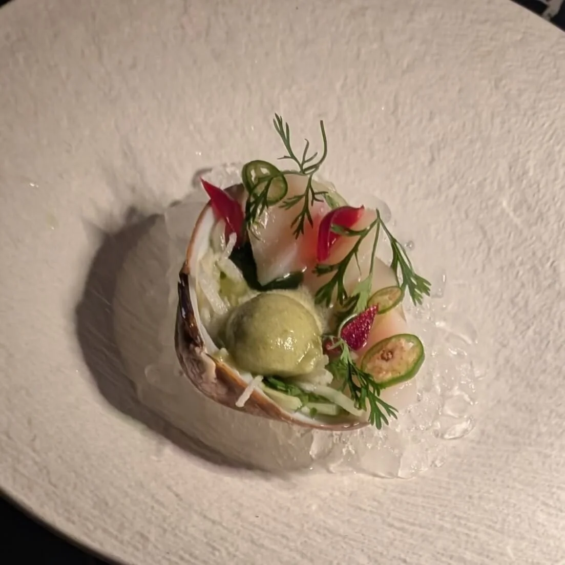 Scallop Tiradito – Scallop tiradito with green aguachile and lime sorbet — a creative dinner starter at Seaside, Playa del Carmen.