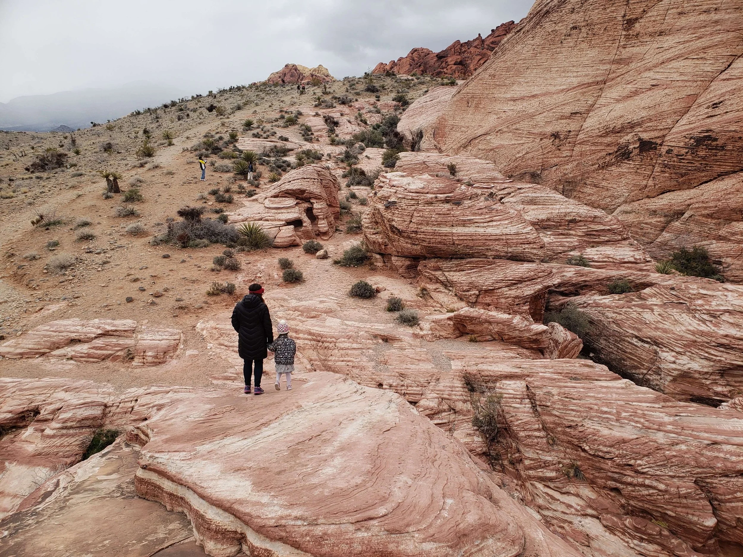 Red sandstone mountains and desert scenery at Red Rock Canyon near Las Vegas