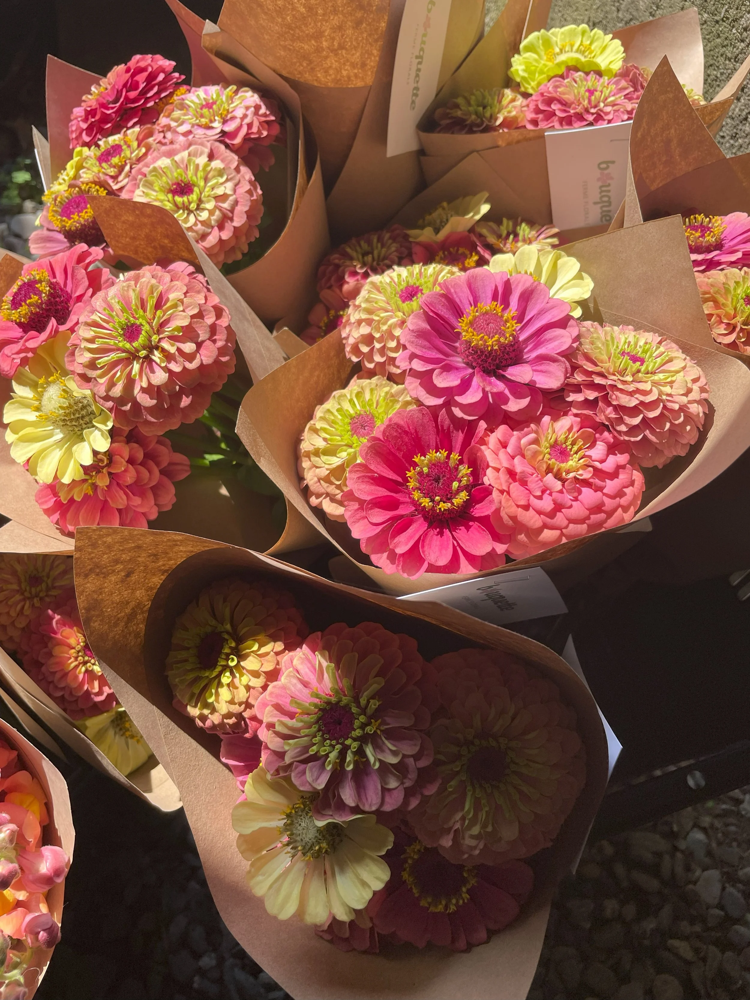 bouquet zinnias.jpg
