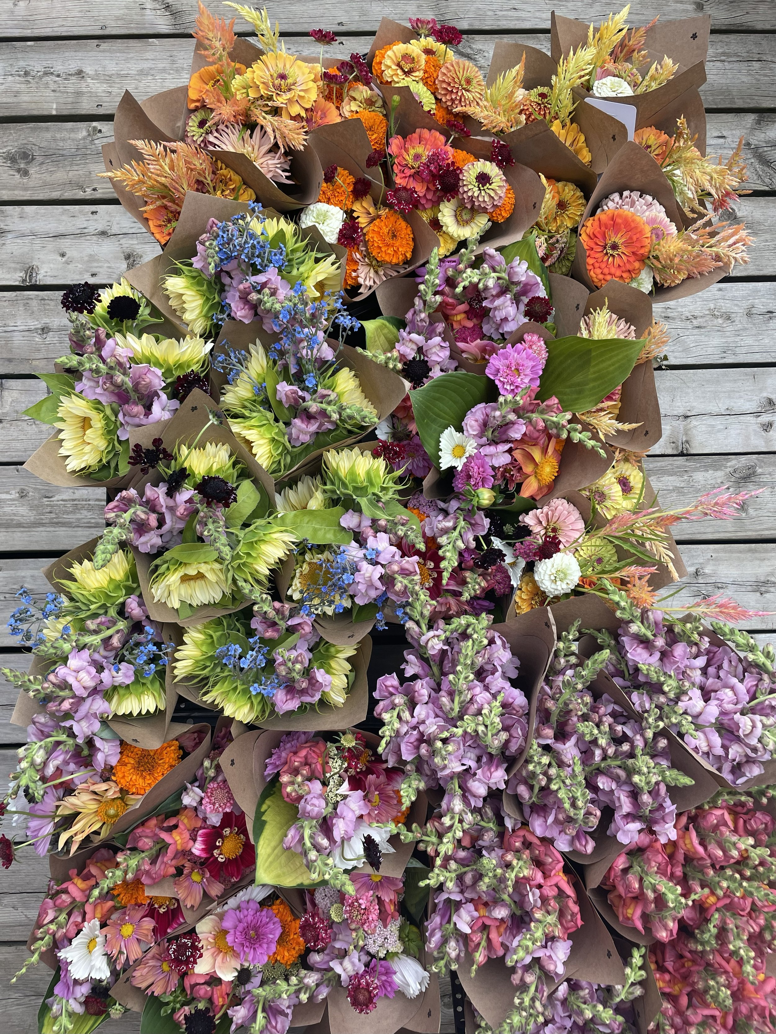 Abonnement fin d'été (5 mini bouquets)