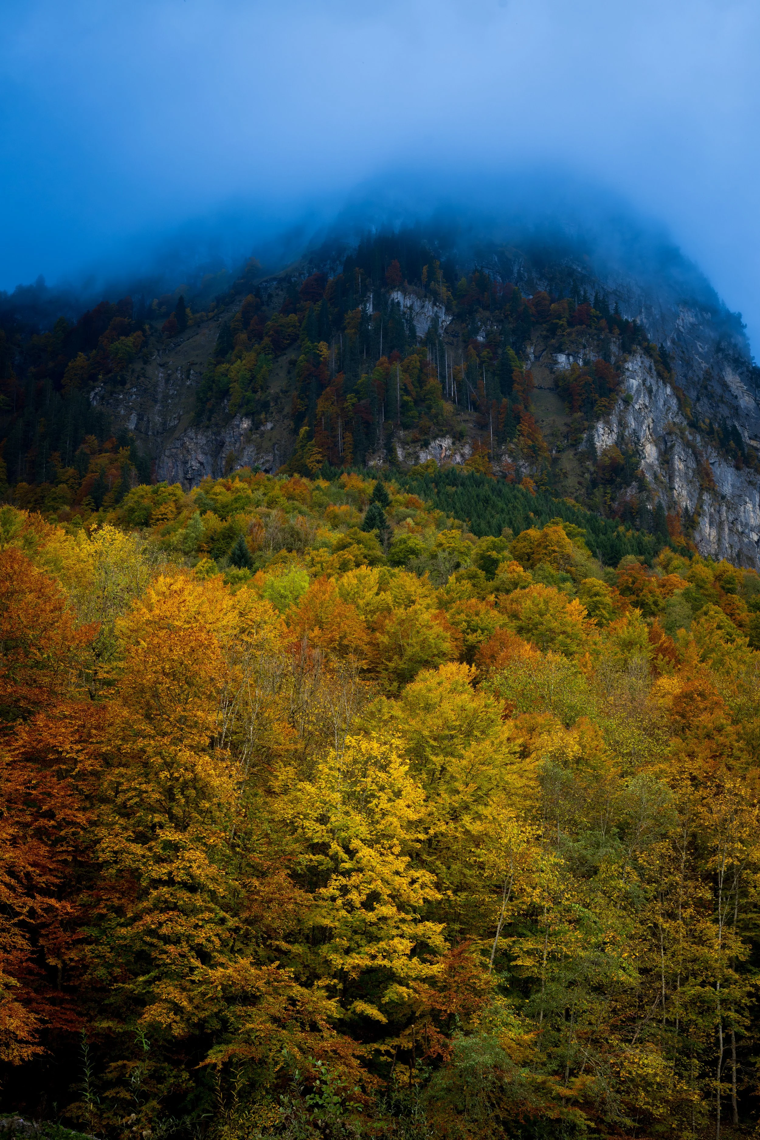 Scouting mountain passes for landscapes