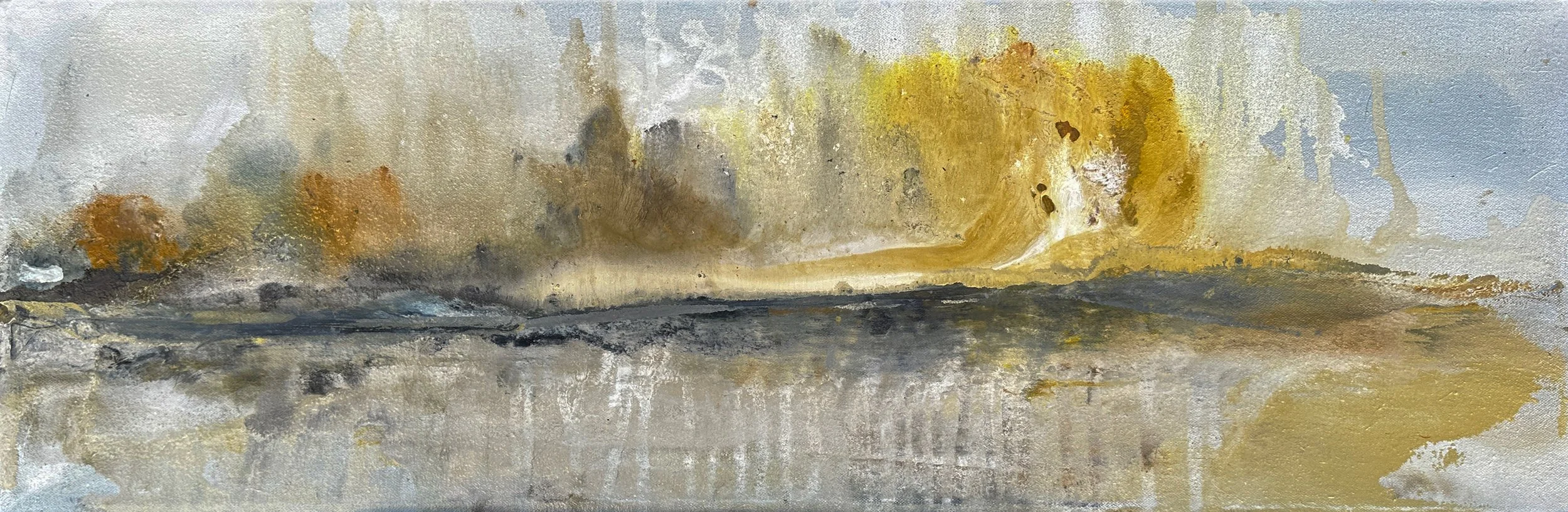 Lake Huron Shoreline 12"x 36"