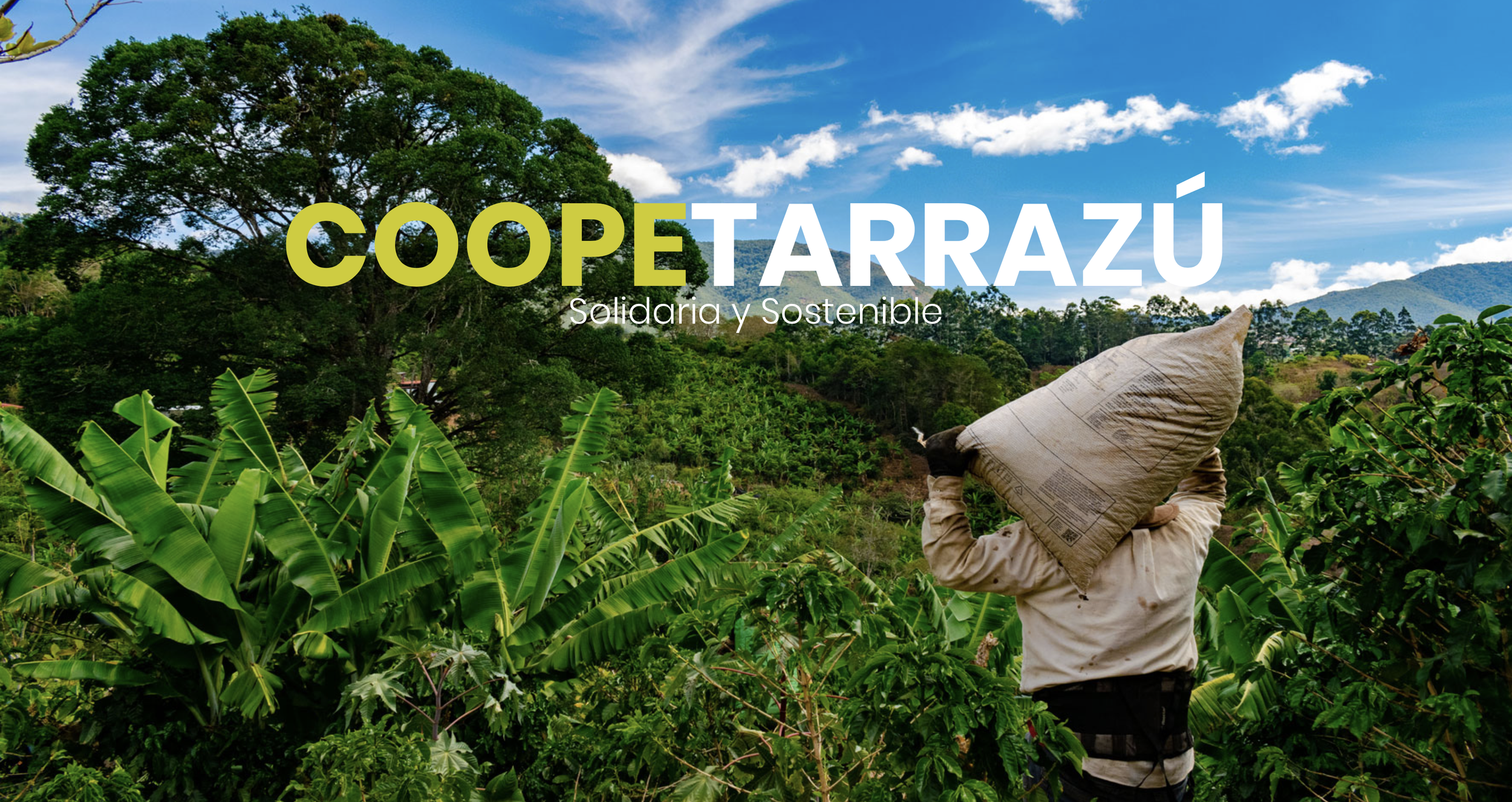 coopetarrazu.png