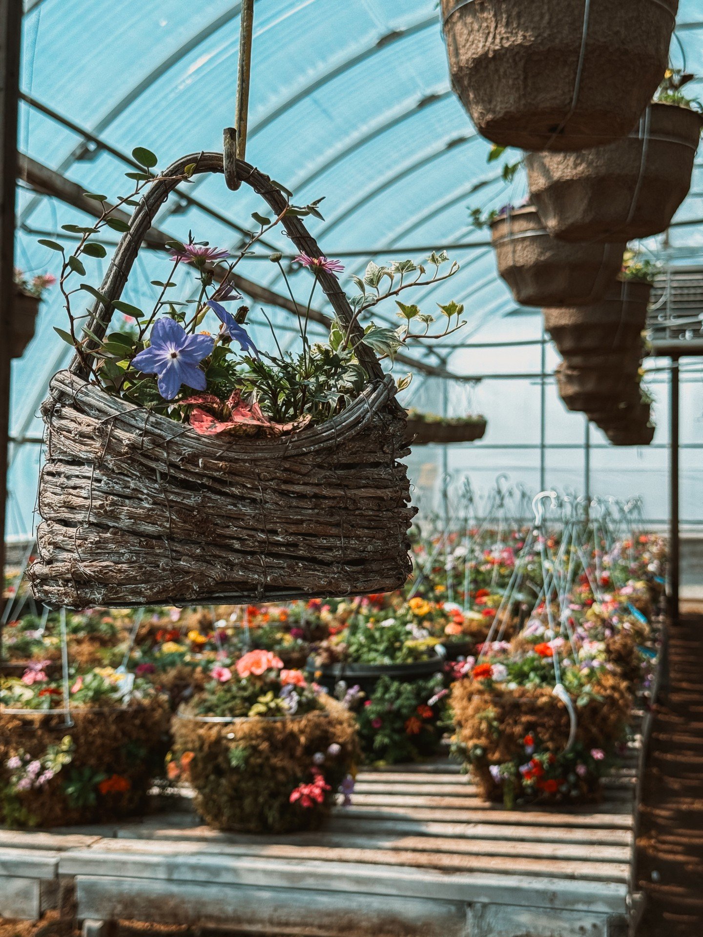 There&rsquo;s something magical about a woven basket brimming with blooms 🌸

Hang them on your porch, your fence, or even a tree branch&mdash;these little floral pockets bring a soft, lived-in beauty to any outdoor space. Think pansies, lobelia, aly