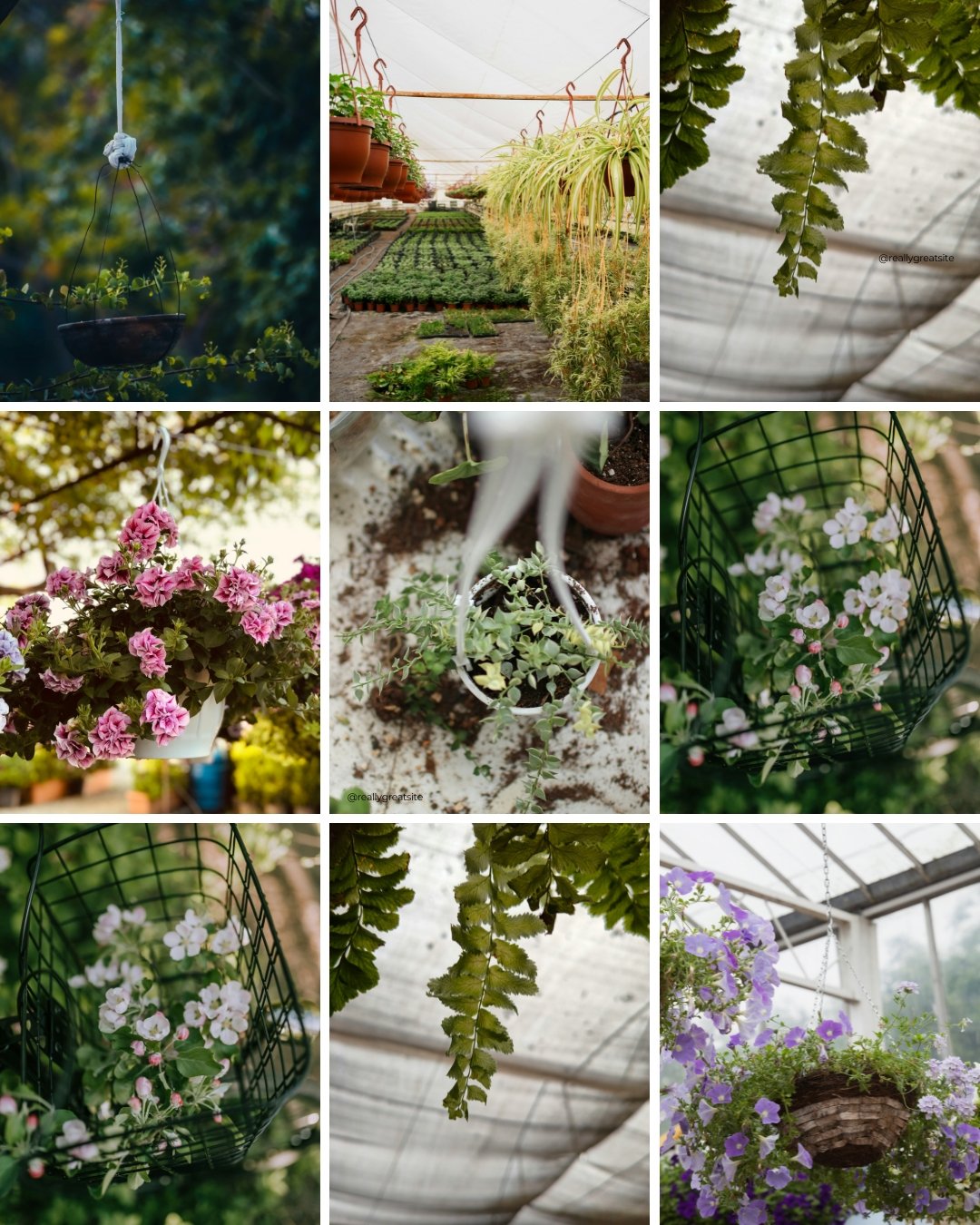 The simplest things are often the most beautiful&mdash;like a little basket spilling over with flowers.

We&rsquo;d love to see how you&rsquo;ve brought this charm to your own space. Tag us or use #KelLakeInBloom and let&rsquo;s grow something lovely