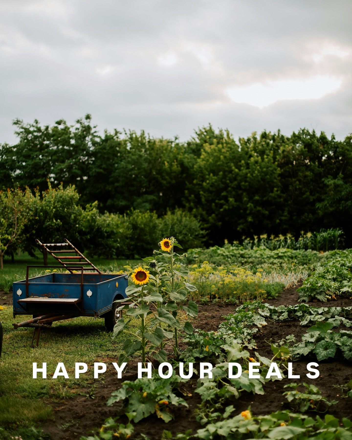 Enjoy deals all day long!