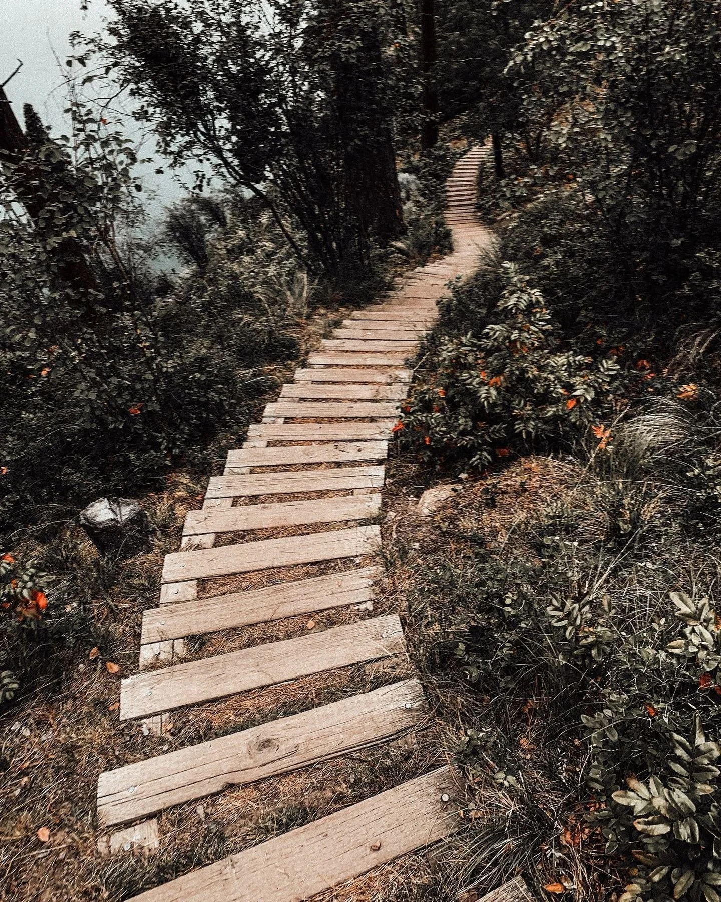Explore Kelowna&rsquo;s fall beauty 🍂 Come get lost in Kel Lake&rsquo;s farm, flowers, and seasonal magic!

#kelakegardencentre #kelowna #okanaganlife #shoplocalokanagan #fallfun #kelownalife #autumnvibes #farmtotable #seasonalbloom #kelownafall
