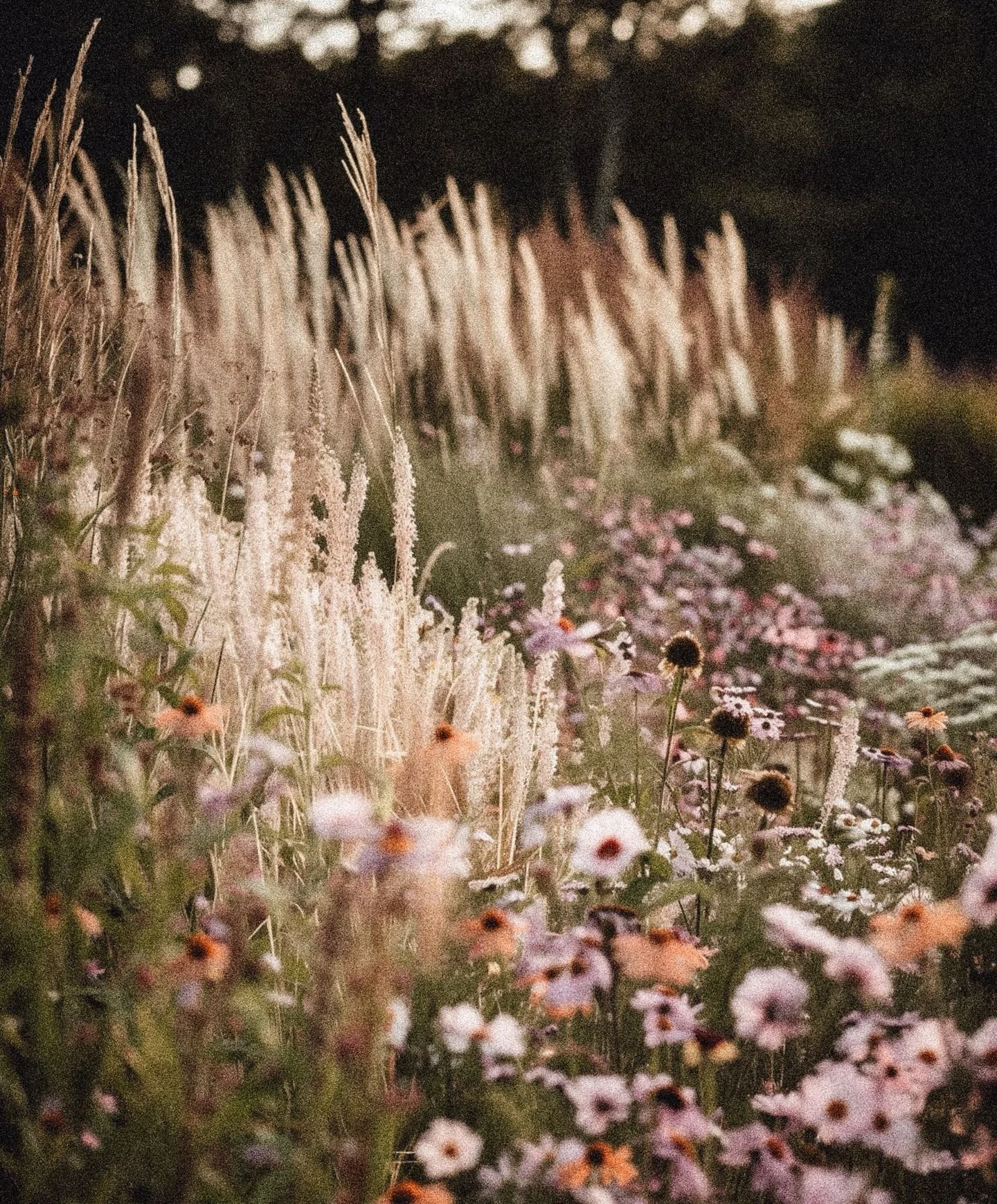 Hand-picked and farm-fresh 🌿 Bring the beauty of the Kelowna flower farm into your home this fall.

#kelakegardencentre #okanaganlife #kelownafloral #localflowers #flowerfarmfresh #shoplocalokanagan #bouquetseason #fallflowers #kelownaliving #farmto