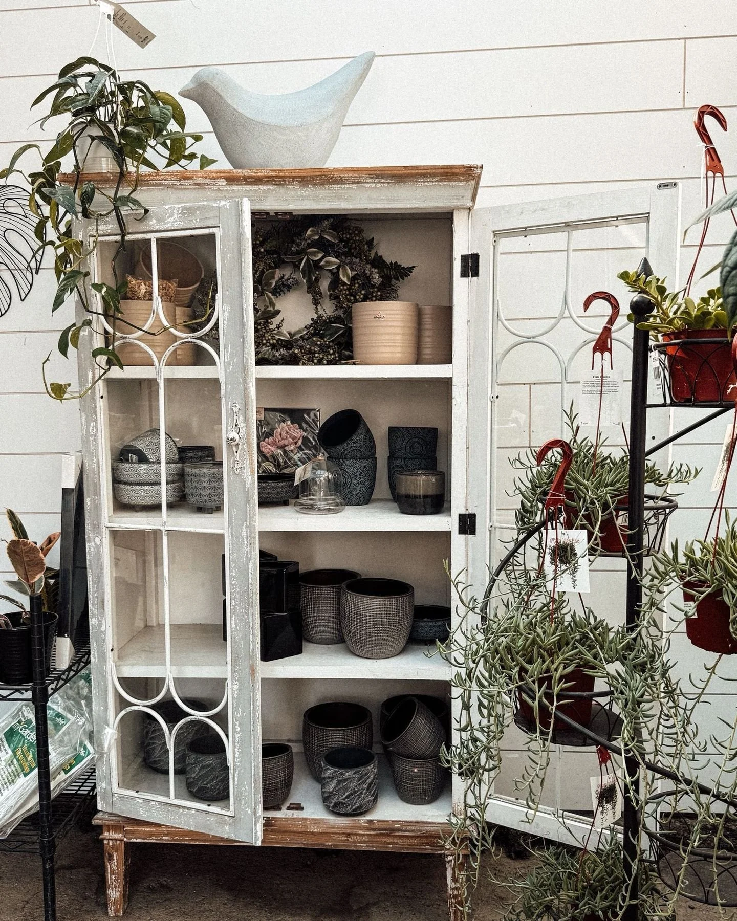 Thank you all for an amazing fall season. See you again in the spring!

#kelakegardencentre #kelowna #okanaganflowers #shoplocalokanagan #fallfun #kelownafall #seasonalbloom #kelownalife #farmfreshflowers #autumnvibes