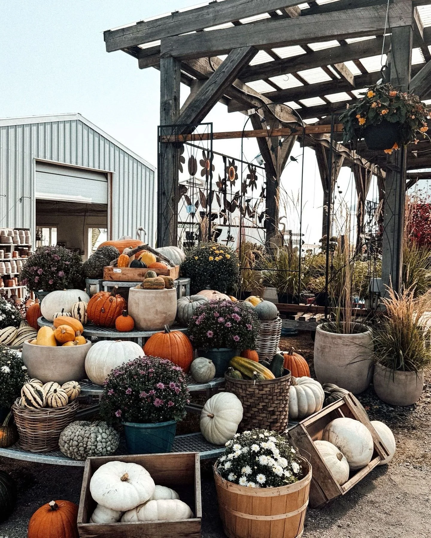 Reminiscing about our fall stand this year. Thank you for making this season so cozy &amp; warm! 

#kelakegardencentre #kelowna #okanaganpumpkins #fallharvest #pumpkinseason #shoplocalokanagan #kelownaliving #autumndecor #farmfresh #seasonaldecor
