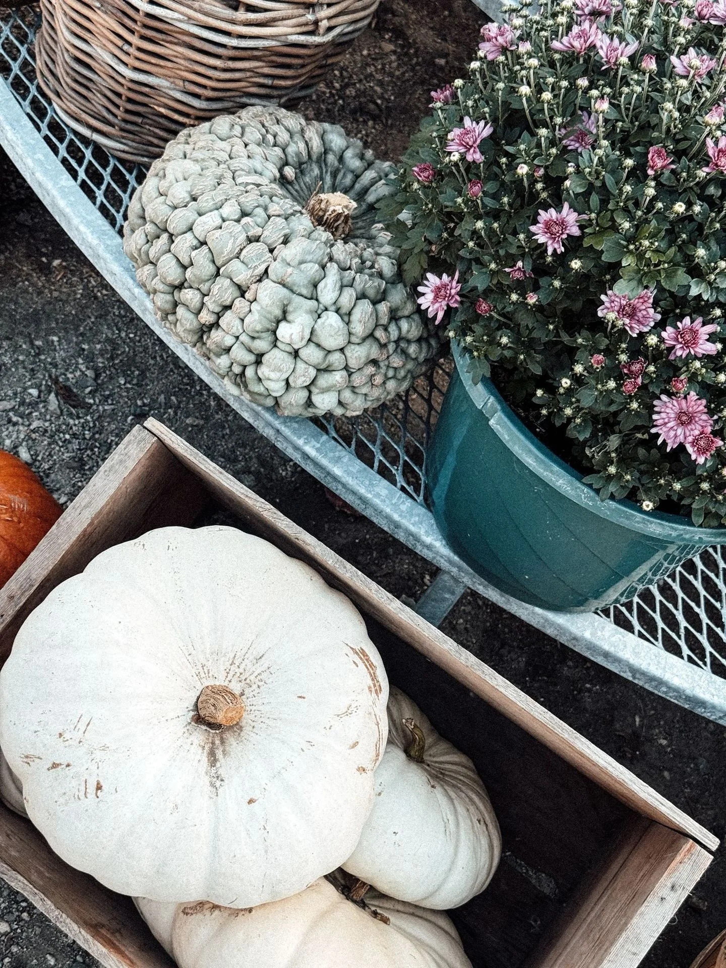 Reminiscing about farmers market weekends 🌿✨
We loved every moment meeting our community, sharing fresh blooms, and showing off seasonal goodies at the market. Thank you to everyone who stopped by &mdash; your support and smiles made it unforgettabl