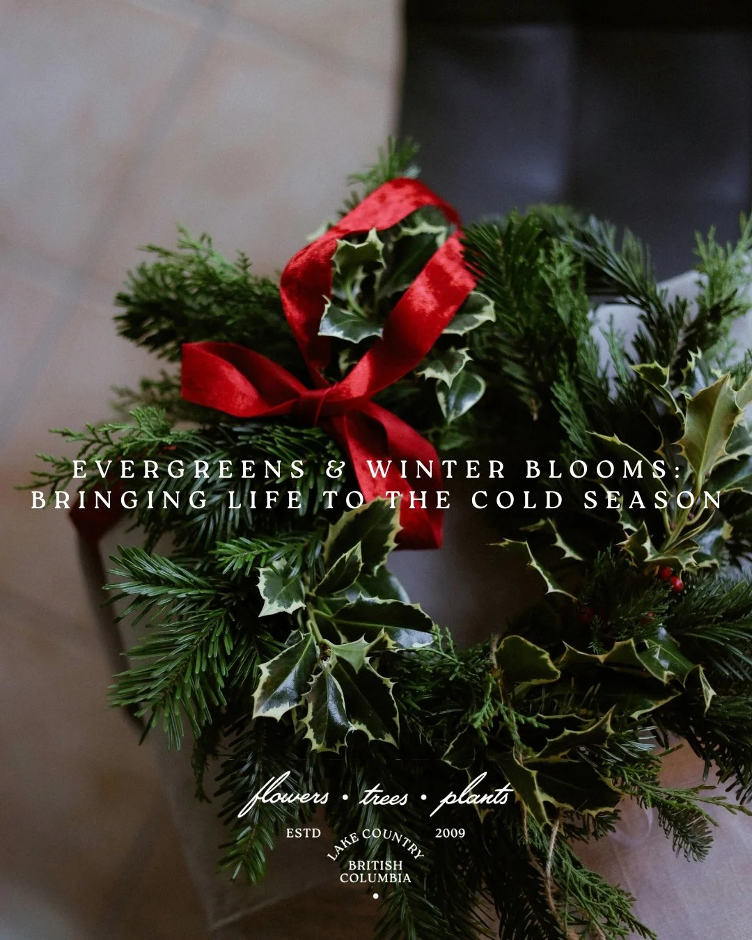 Evergreens &amp; Winter Blooms 🌿

When the rest of the garden rests, evergreens and cold-season blooms take center stage. Cedar, spruce, and juniper add year-round texture, while hellebore and winterberry bring soft color to frosty days. Fill porch 