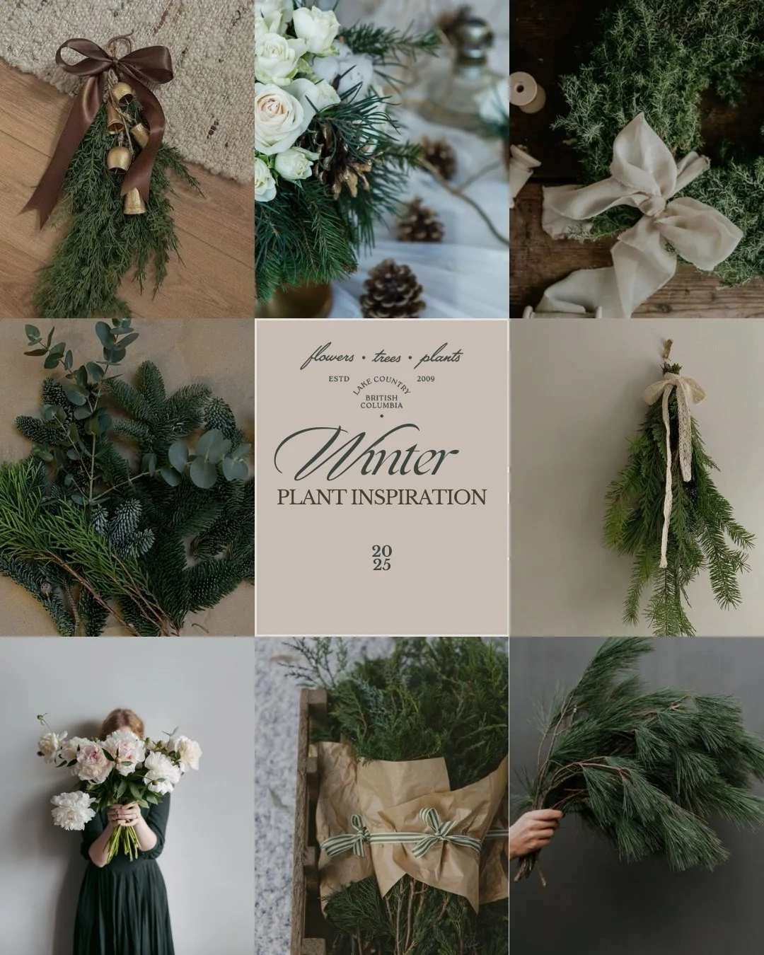 Winter plant inspiration starts here.

Even in the quiet months, there&rsquo;s so much beauty to be found &mdash; evergreens holding their colour, winter berries adding soft pops of red, and dried stems offering shape and texture against the cold. Ou