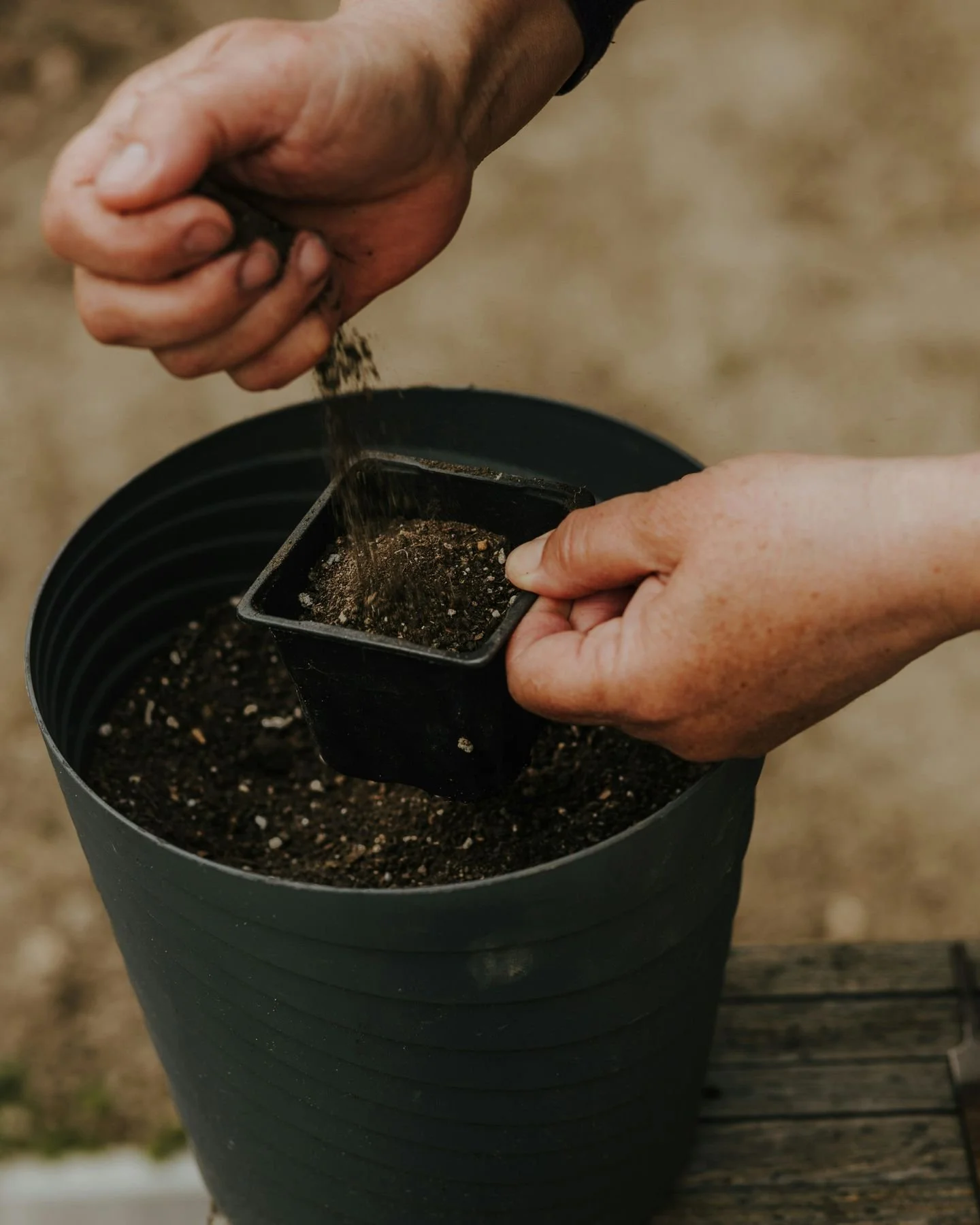 Healthy spring gardens start with winter prep.

Even though everything is winding down, this is one of the most important times to care for your soil. A few simple steps now will set your garden up for stronger growth once the weather warms.

&bull; 