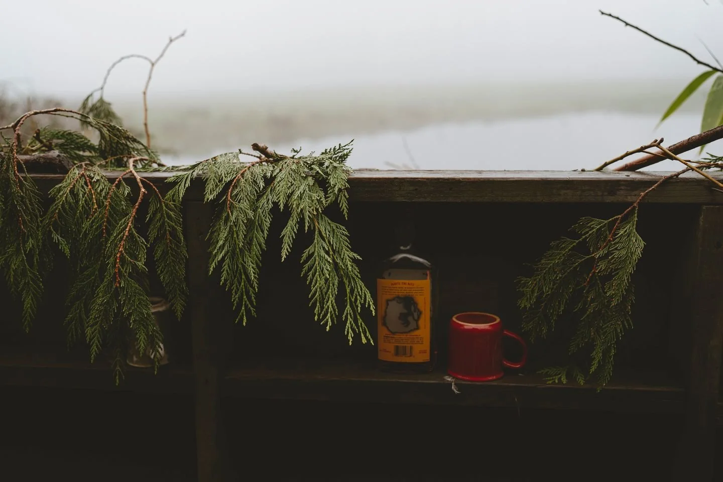 Cozy winter vibes from the farm.

The garden may be resting under a blanket of cold, but there&rsquo;s a quiet beauty in the stillness &mdash; evergreens holding their colour, frost settling on branches, and the soft calm that winter brings. We&rsquo