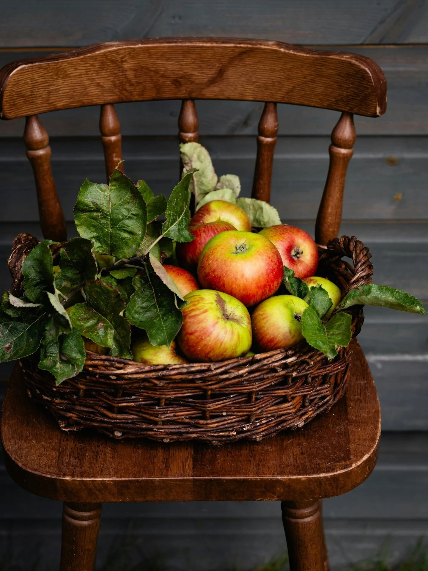 We&rsquo;re already getting excited to welcome you all back.
There&rsquo;s something special about the quiet months &mdash; planning, dreaming, and preparing for the season ahead. We can&rsquo;t wait to open the gates again, see familiar faces, and g