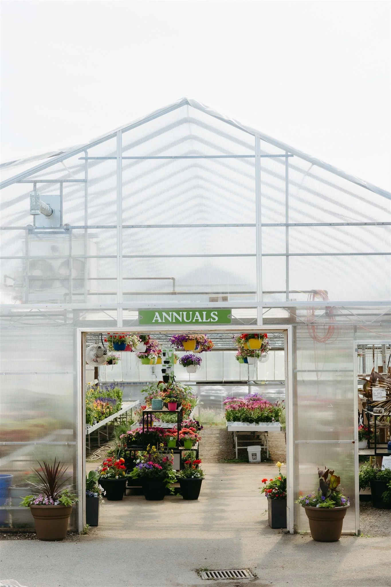 Greenhouse with a sign reading 'ANNUALS' at the entrance, filled with colorful flowering plants and hanging baskets.