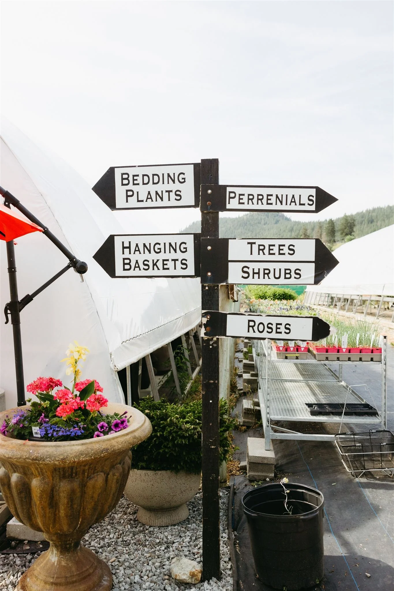 Signpost with directions to bedding plants, perennials, hanging baskets, trees, shrubs, and roses at a nursery or garden center.
