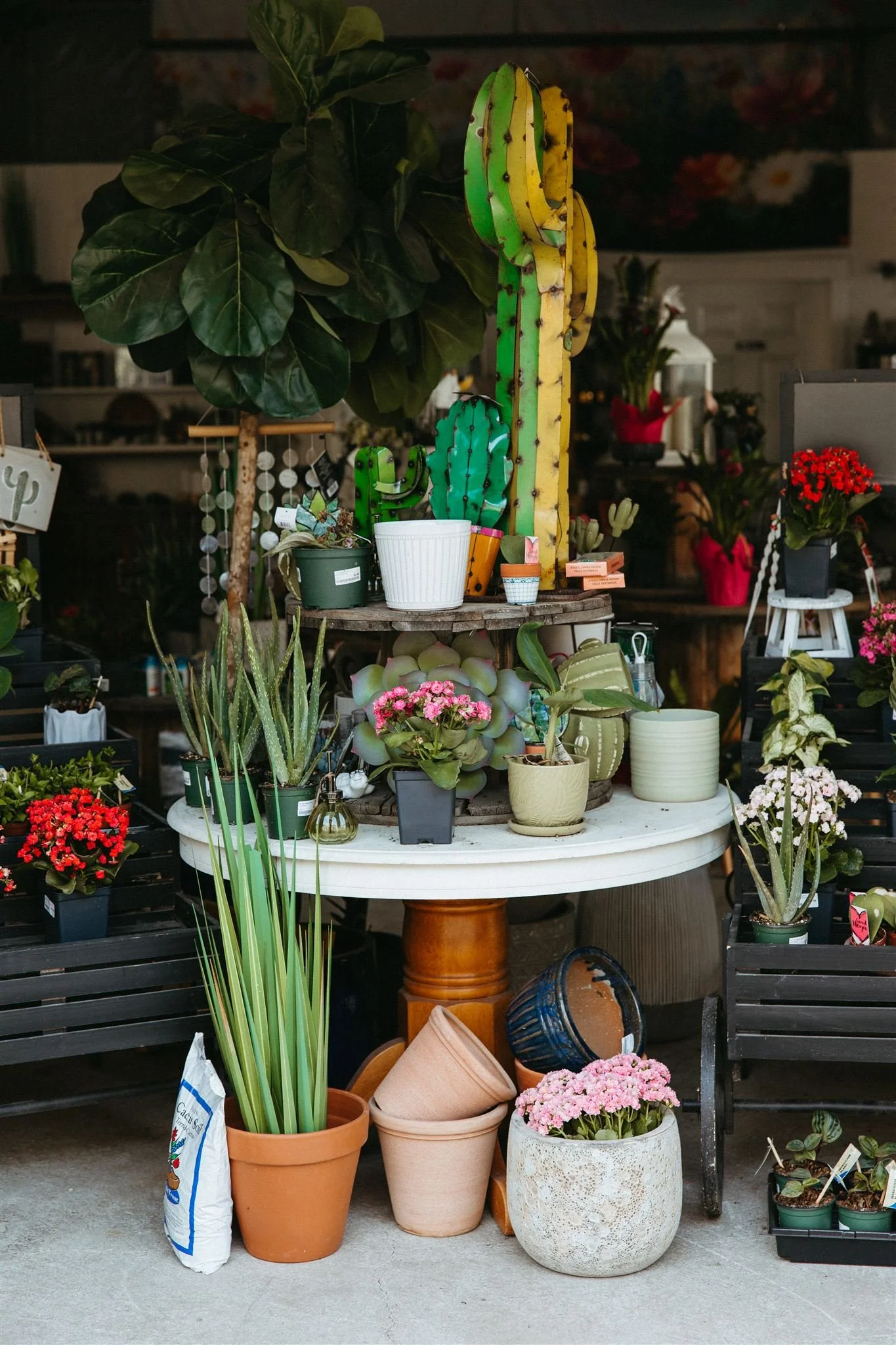 Display of potted plants, flowers, and cactus decorations at a gardening shop or market.
