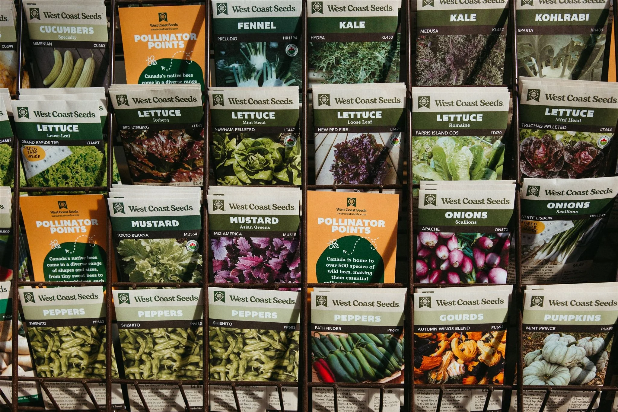 Variety of seed packets for vegetables and herbs, including cucumbers, lettuce, kale, kohlrabi, mustard greens, peppers, gourd, pumpkins, and onions, displayed on a seed rack.