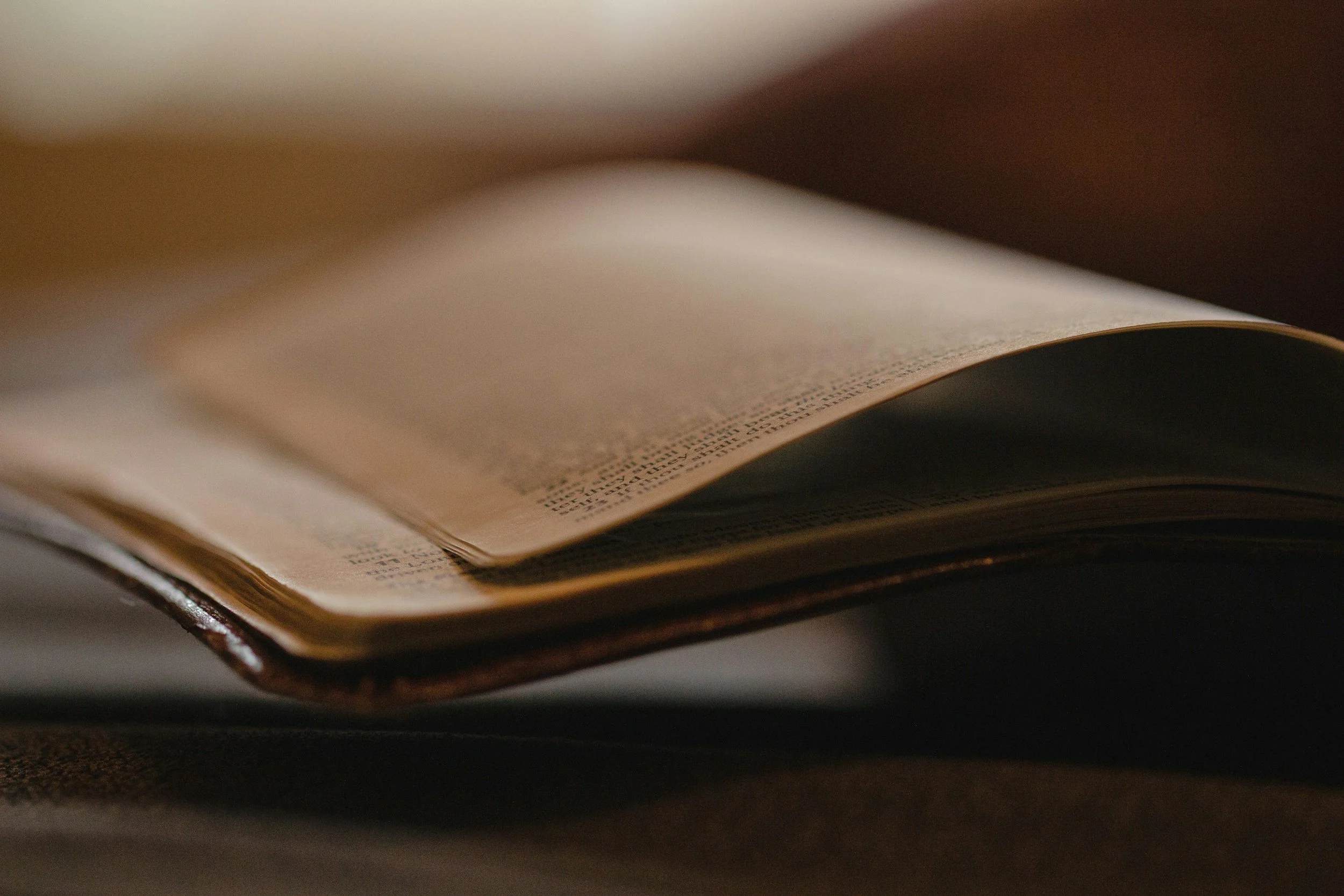 Solomon: Child of the Covenant