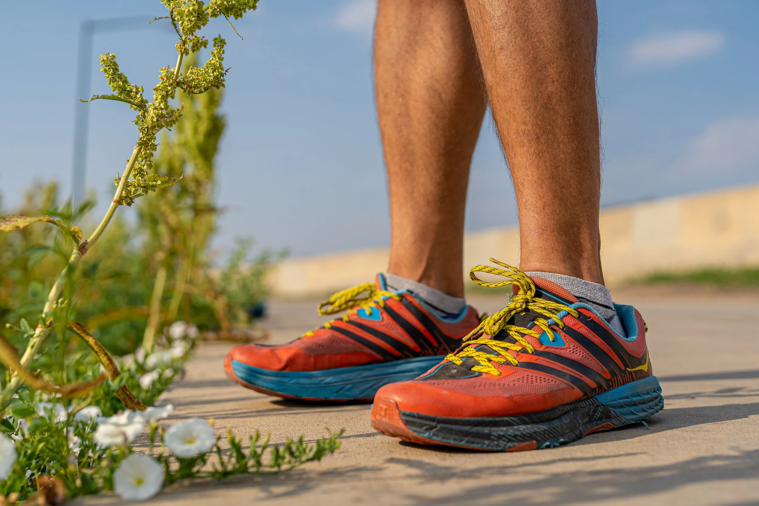 InMotion621-09382.jpg