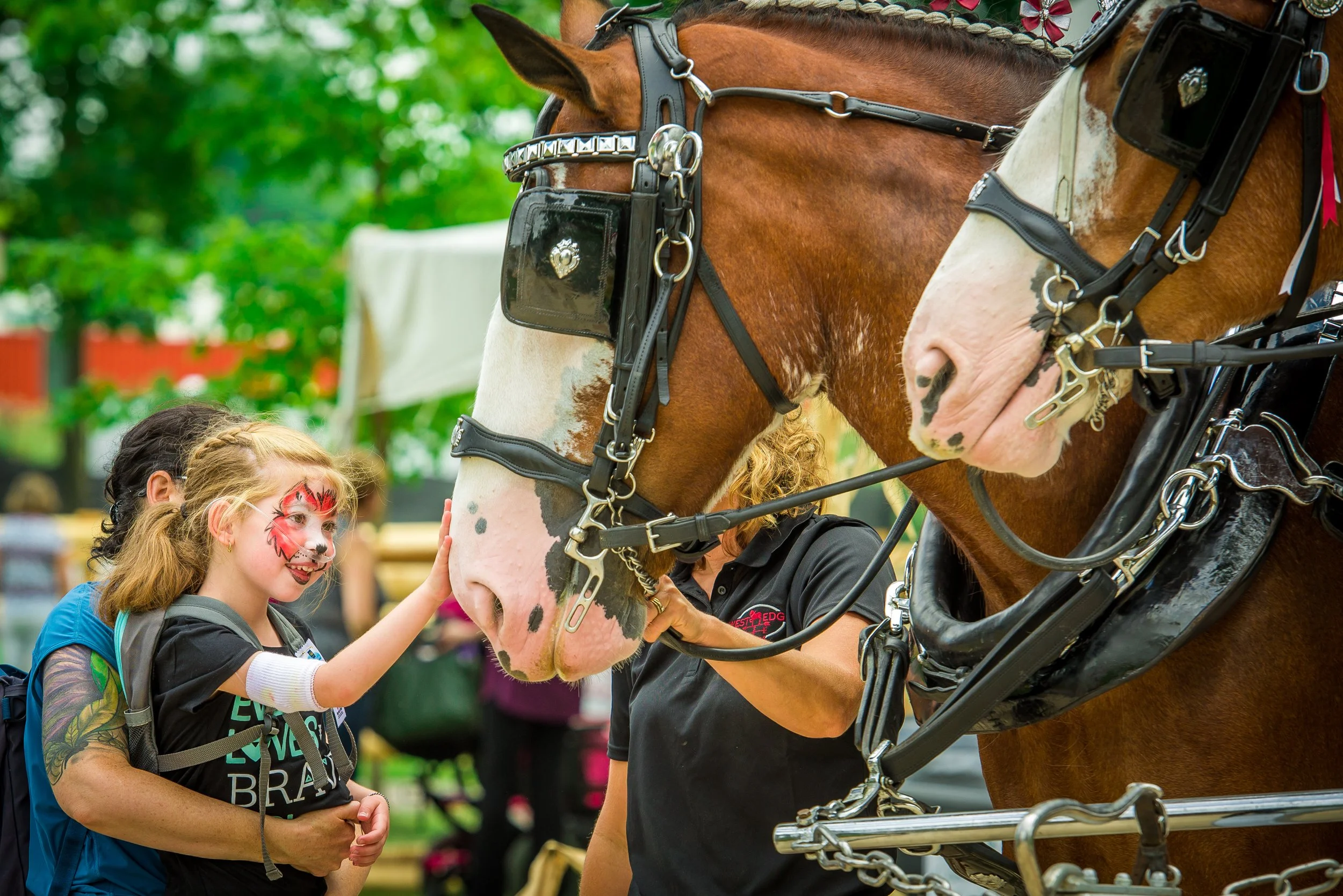 Western Fair’s DAY OF DREAMS Returns