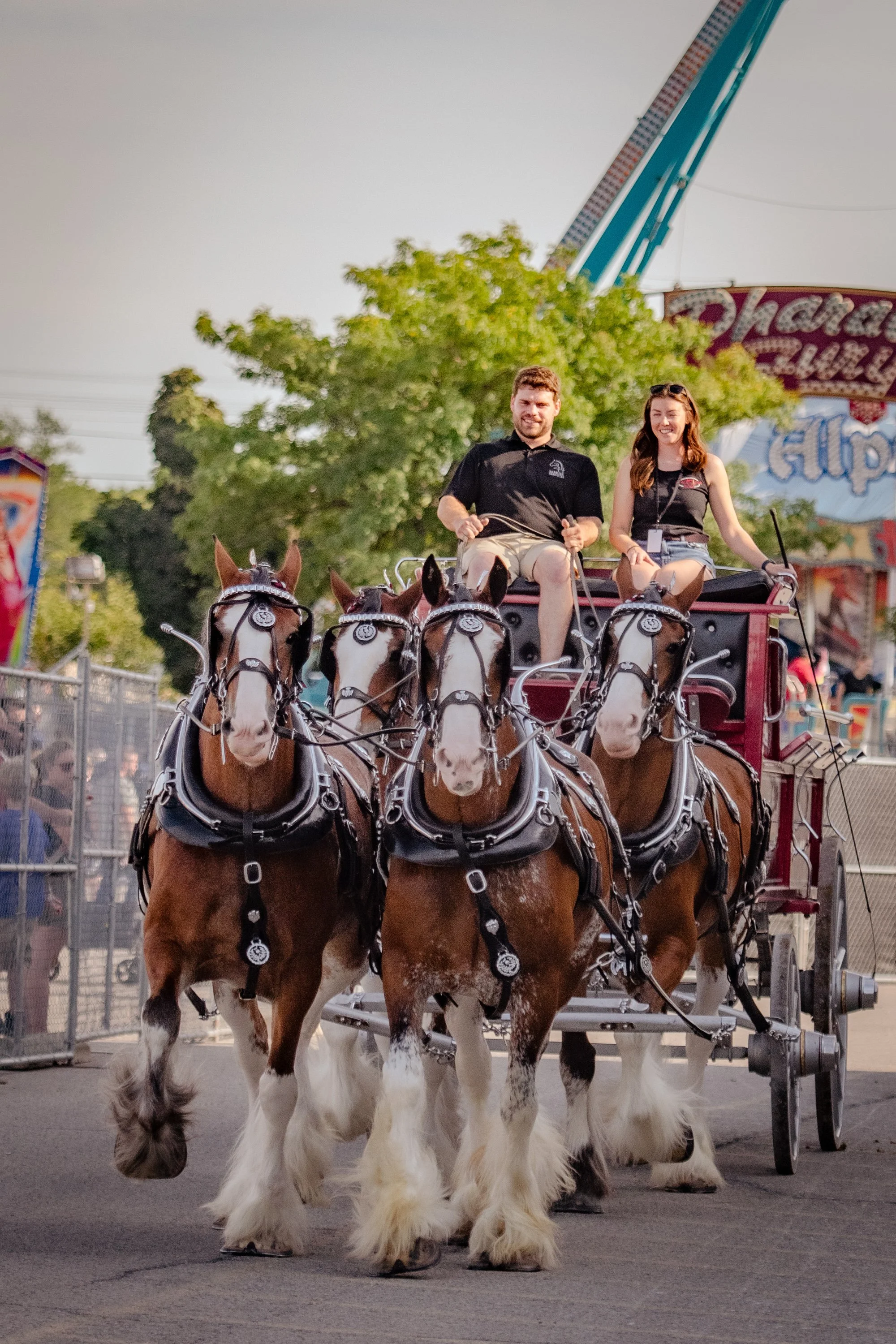 WesternFair2022-Agriculture-031.jpg