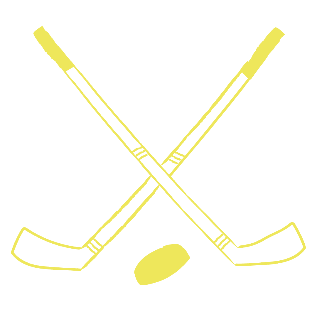 sports centre hockey game