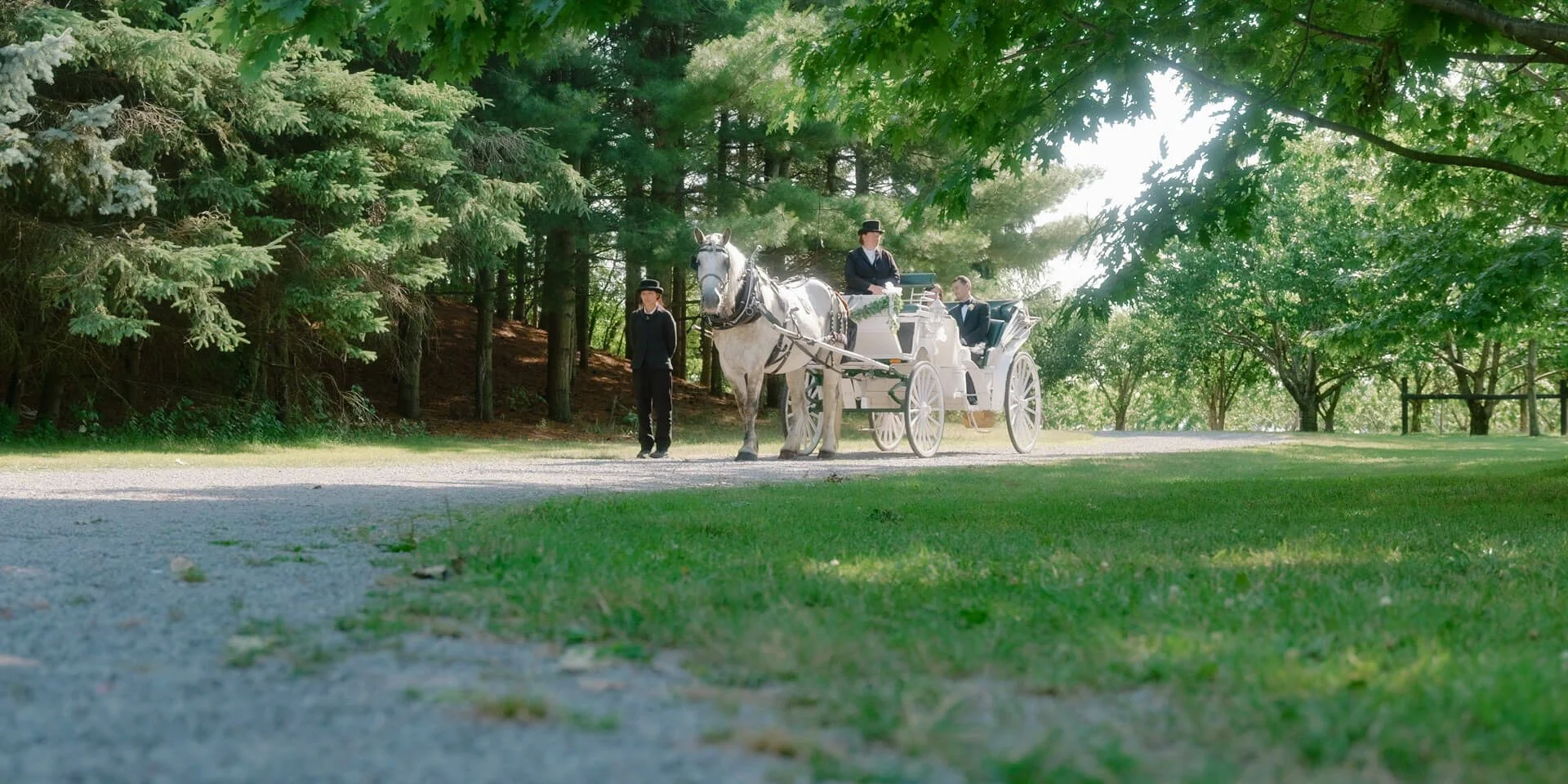 Horse and carriage at Kurtz Orchards