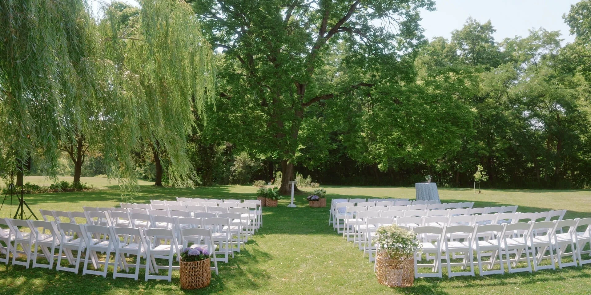 outdoor ceremony setup under willow tree