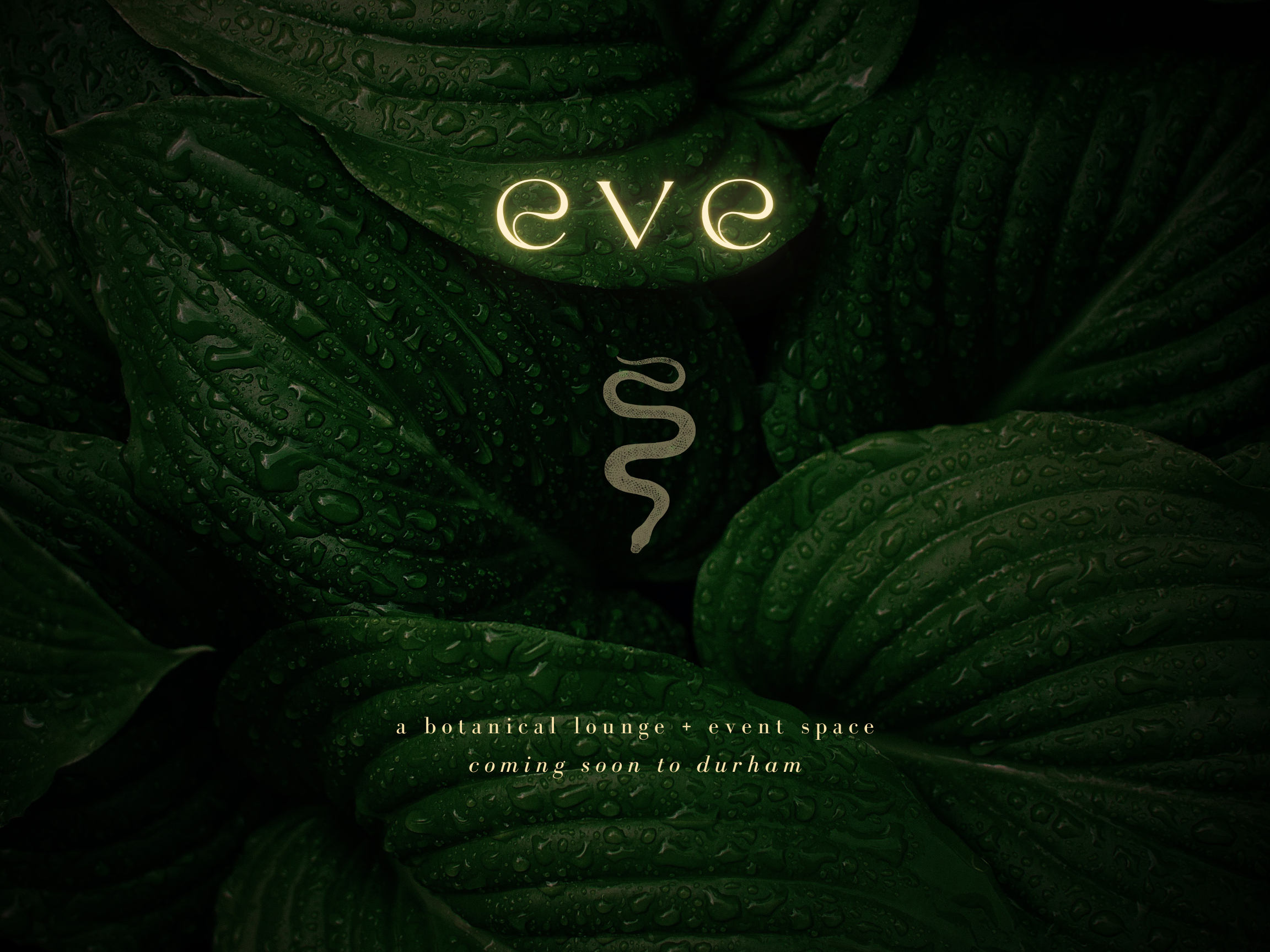 eve. — eve.