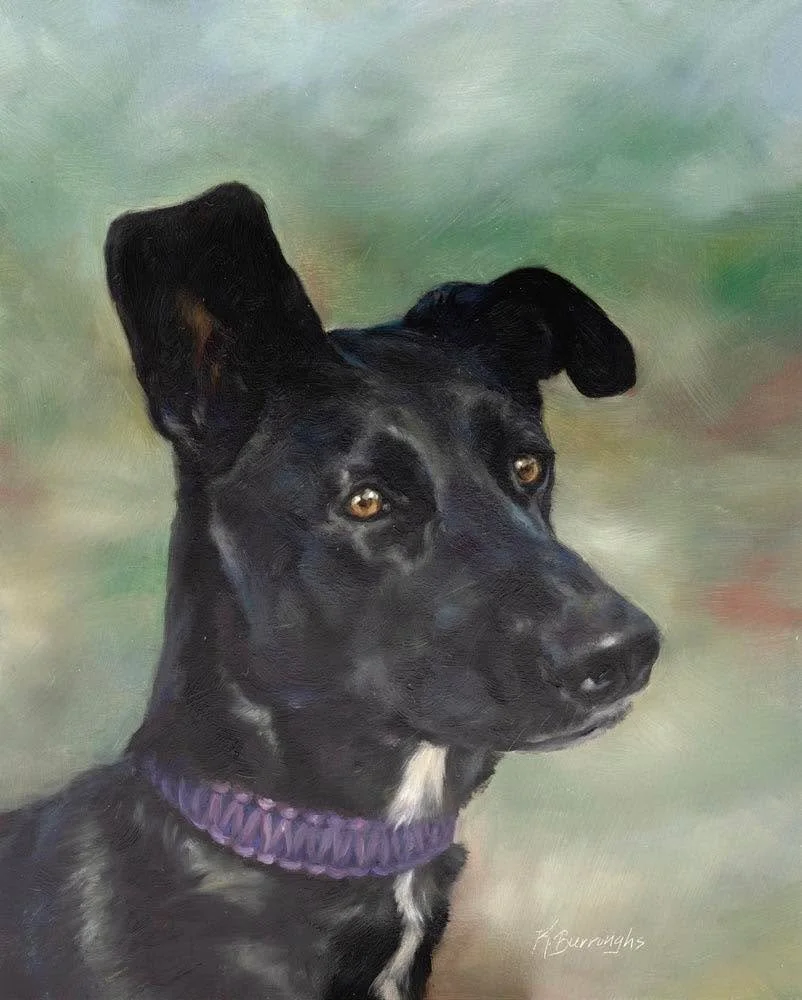 This painting of Gracie, showcases her striking profile with perked ears, purple collar, and soft green background. 

#AnimalOilPainting #DogArt #OilPainting #PetPortrait #CanineArt #AnimalPainting #DogLoversArt #WildlifeOil #PetArtistry