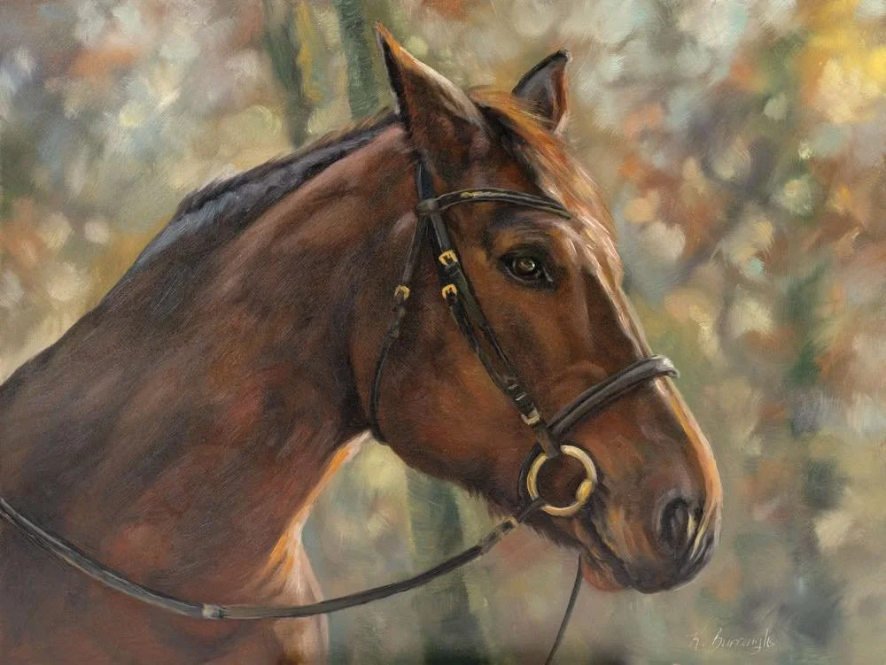 Capturing the elegance of this horse in oil, with its striking profile and detailed black bridle accented in gold. Loving the soft, earthy background blending browns, yellows, and greens, paired with the rich tones of its coat. #OilPainting #HorseArt