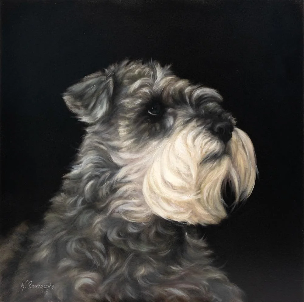 Capturing the essence of a Schnauzer in oil! This piece highlights the intricate texture of its wiry gray and white fur, with light and shadow play against a bold black background. The dignified expression is brought to life through meticulous brushw