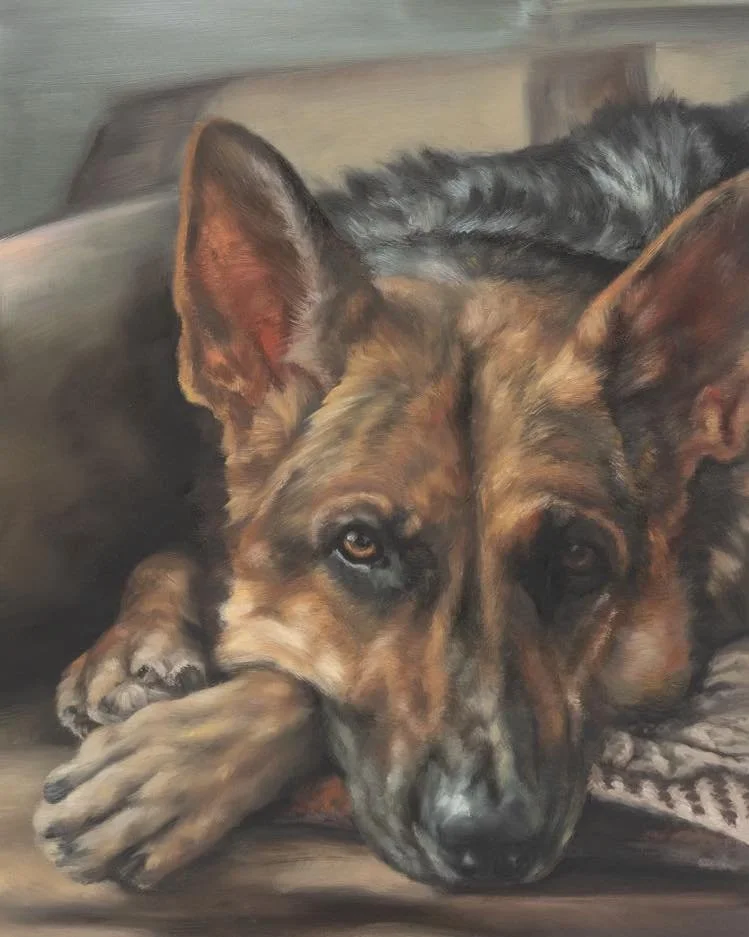 My latest painting captures the rich texture of this German Shepherd&rsquo;s brown and black fur, with striking ears and deep, expressive eyes that pull you in. Soft, blurred strokes hint at his favorite, cozy indoor spot. I don&rsquo;t think he has 