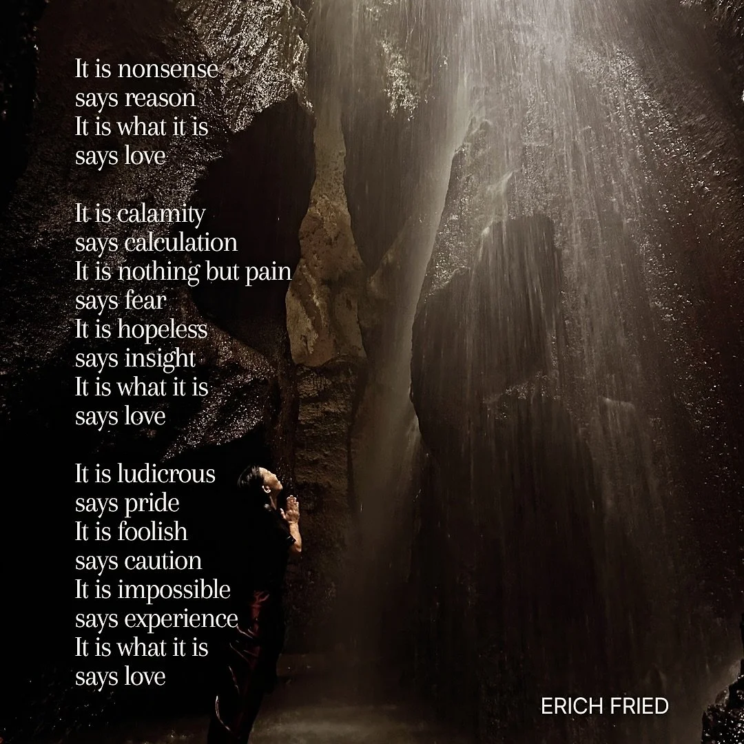 Be Love.

#bekind #leadwithlove #poetry #humble #surrender #rumivibes #sessionsforthebrokensoul #soulpharmacy #coach