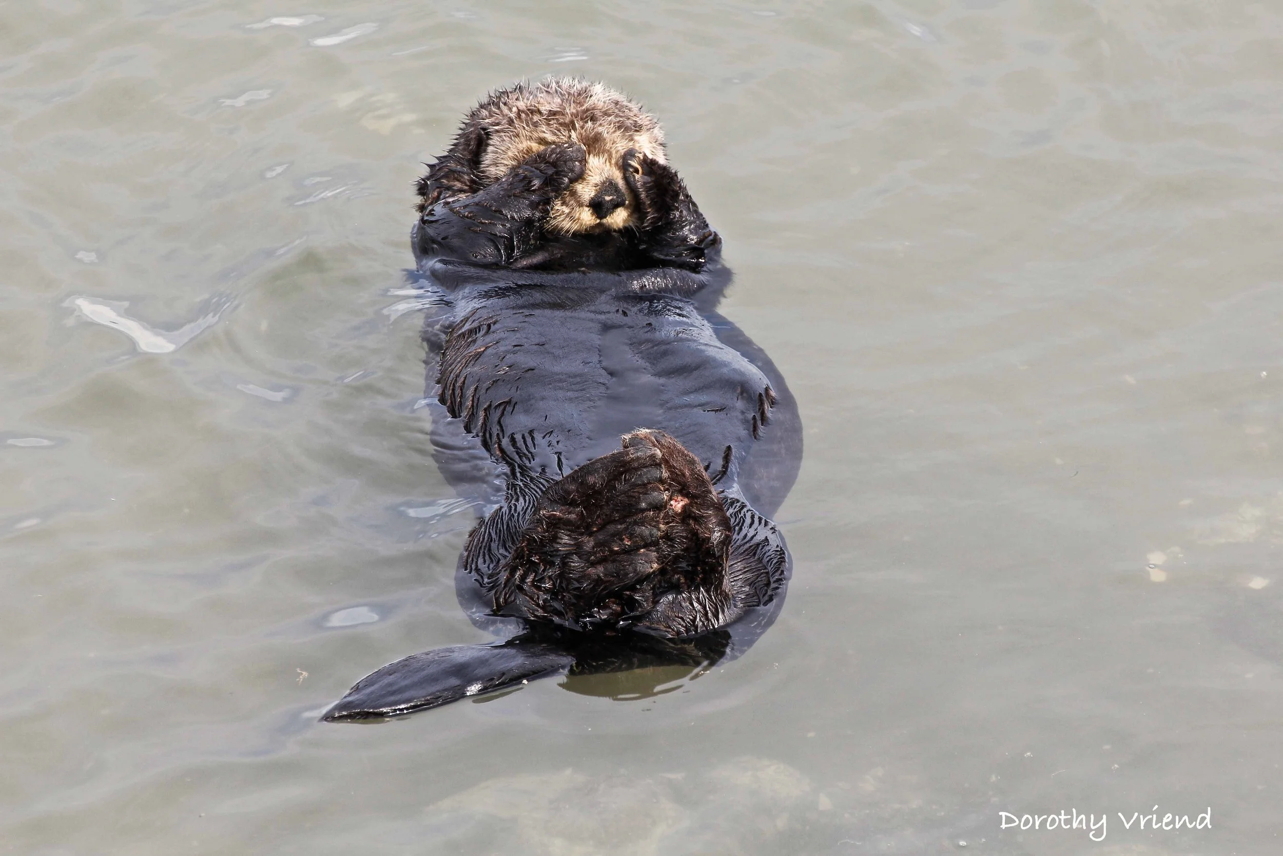 Narrative Voice — Jan. 20, 2026