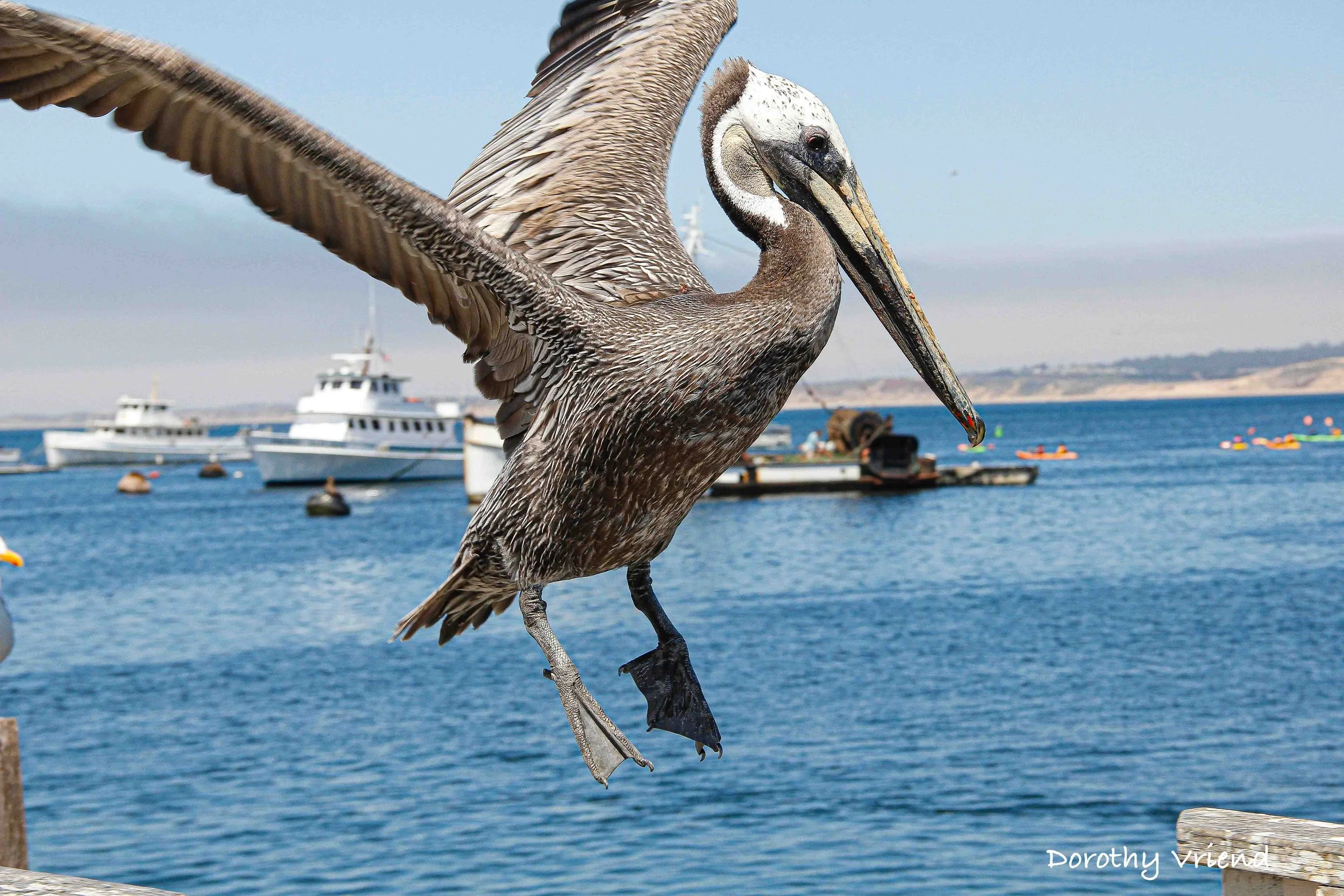 Suspense — March 16, 2026 