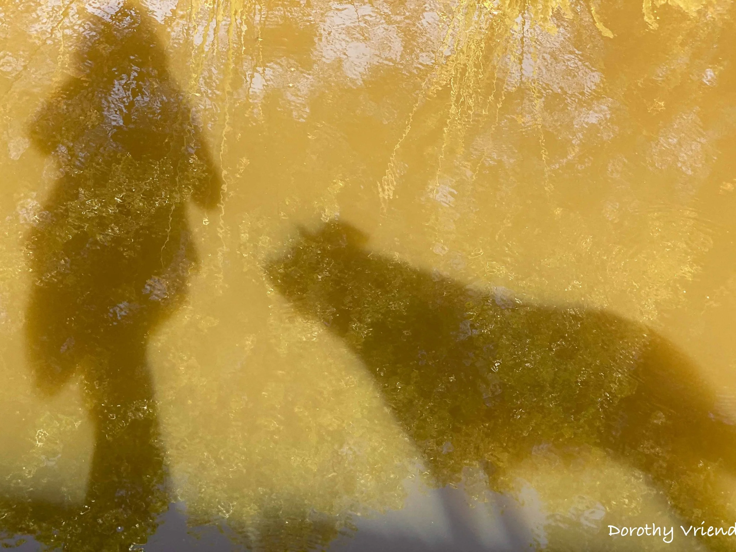 About Being Human — April 9, 2026