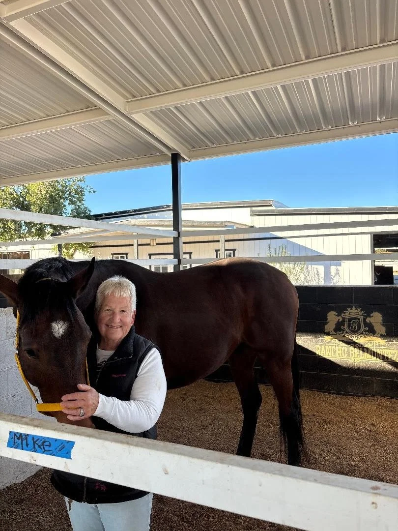  LIONITE  Lionite has been adopted! "I found a wonderful OTTB named Lionite. We are in love! Thank you Cass and Brandi for helping me find such a wonderful horse! It was a great experience start to finish! Sincerely, Suzanne and Lionite