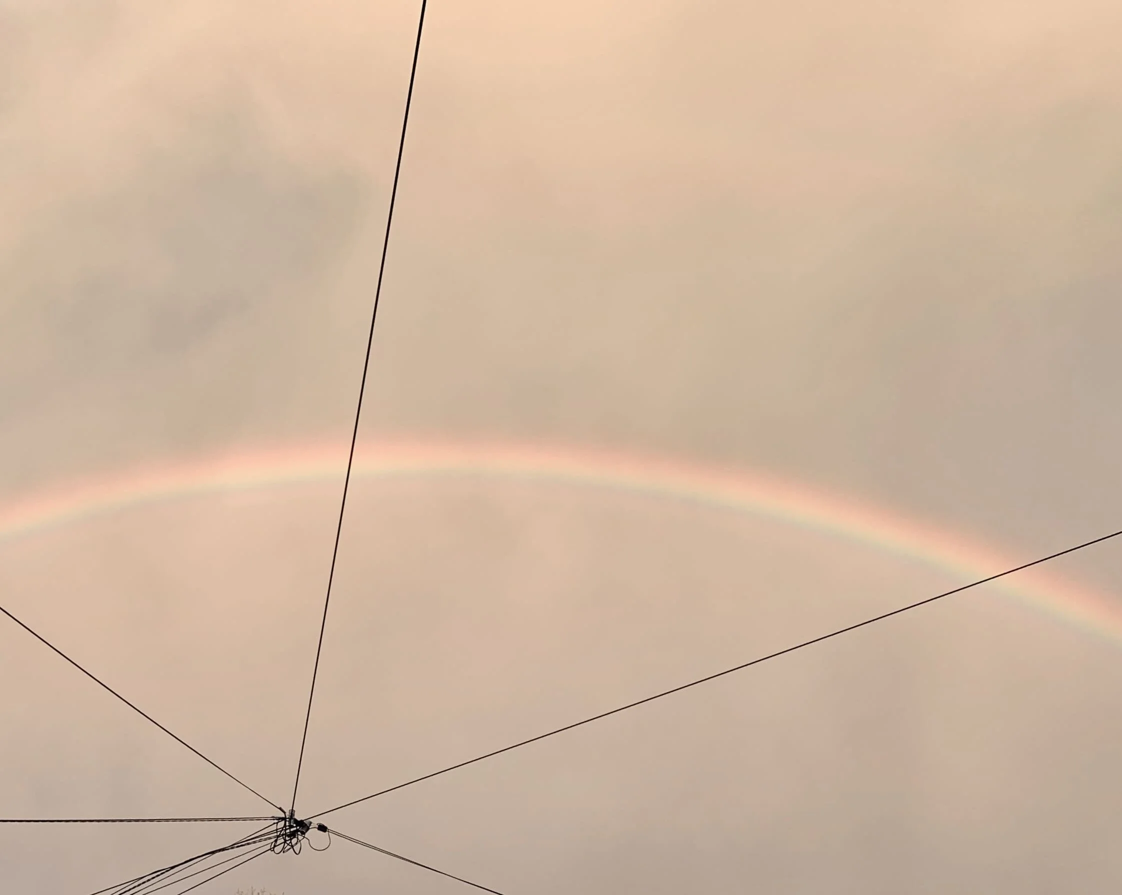 On Grief and Gratitude