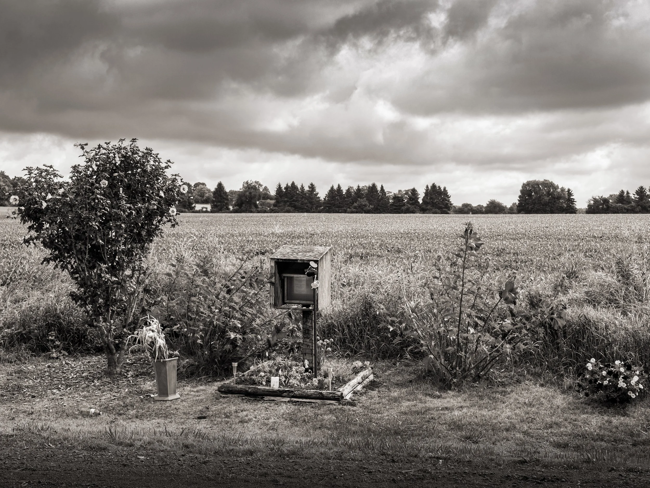 Drive-in Memorial, Port Hope 2025