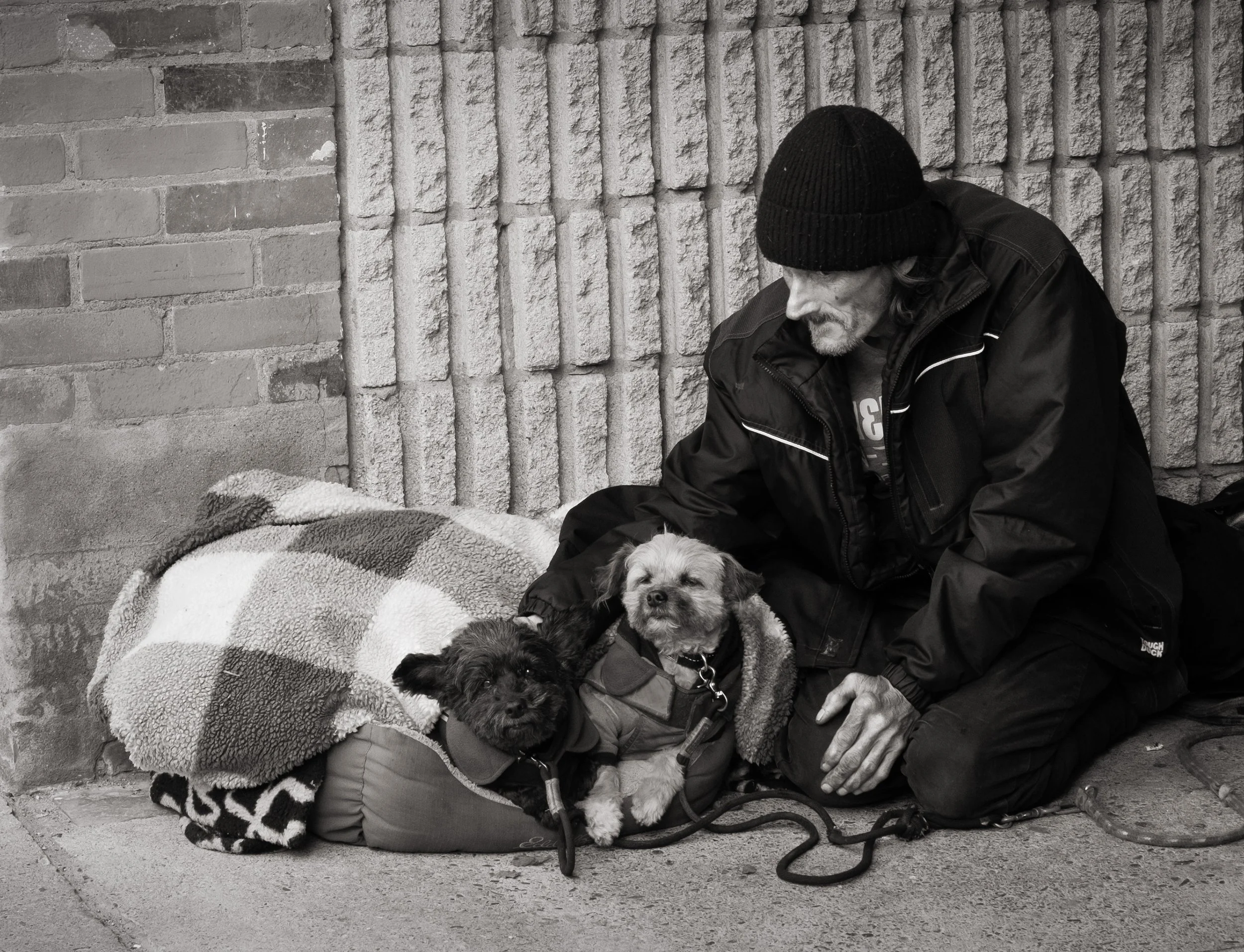 Homeless Companions , Cobourg, ON 2025