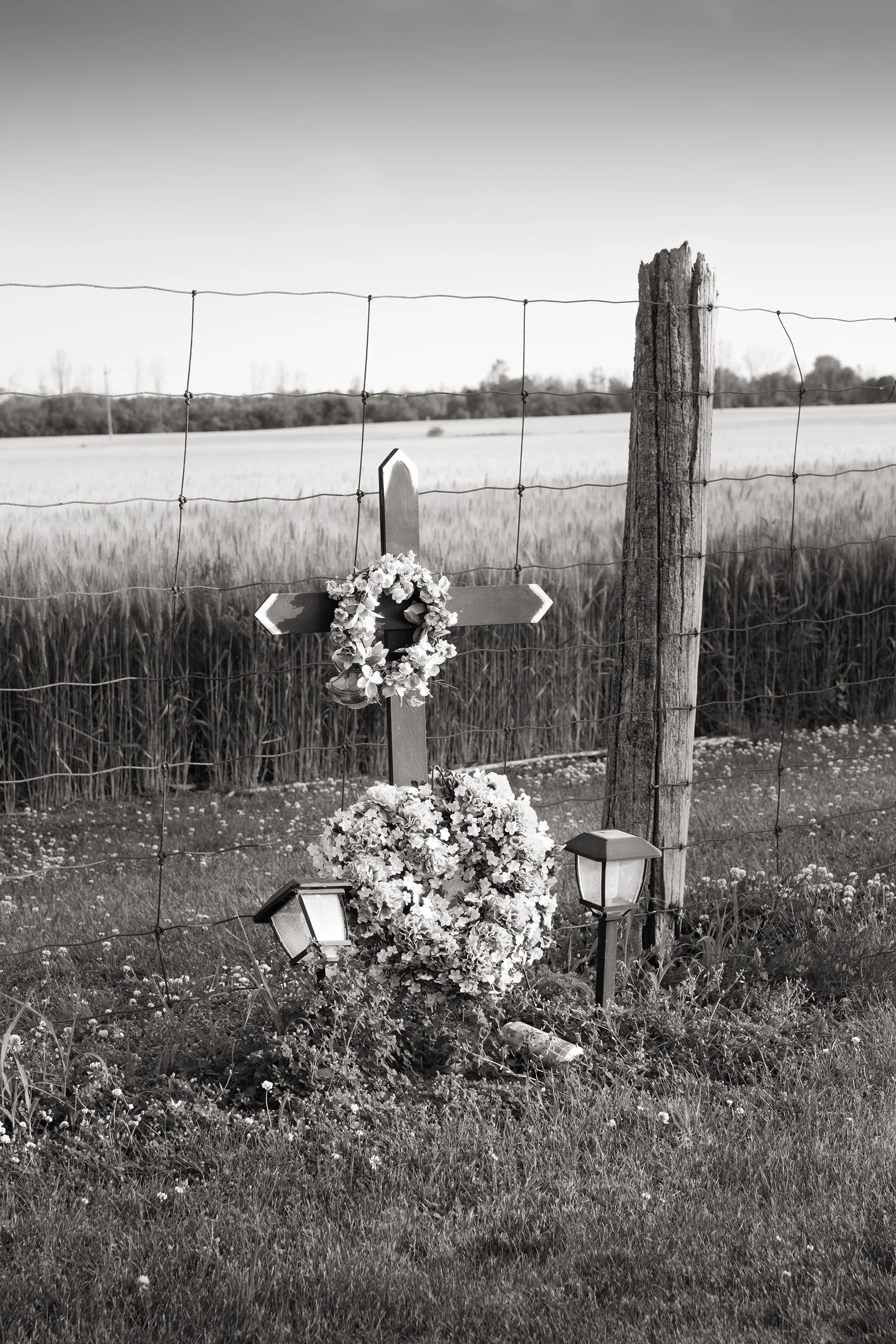 HWY 2 Memorial, Cobourg 2026
