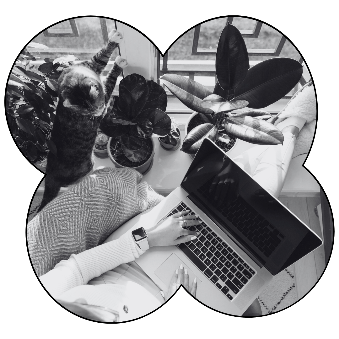 Person working on a laptop by a window with houseplants and a cat, symbolizing reflection, emotional processing, and therapy work.