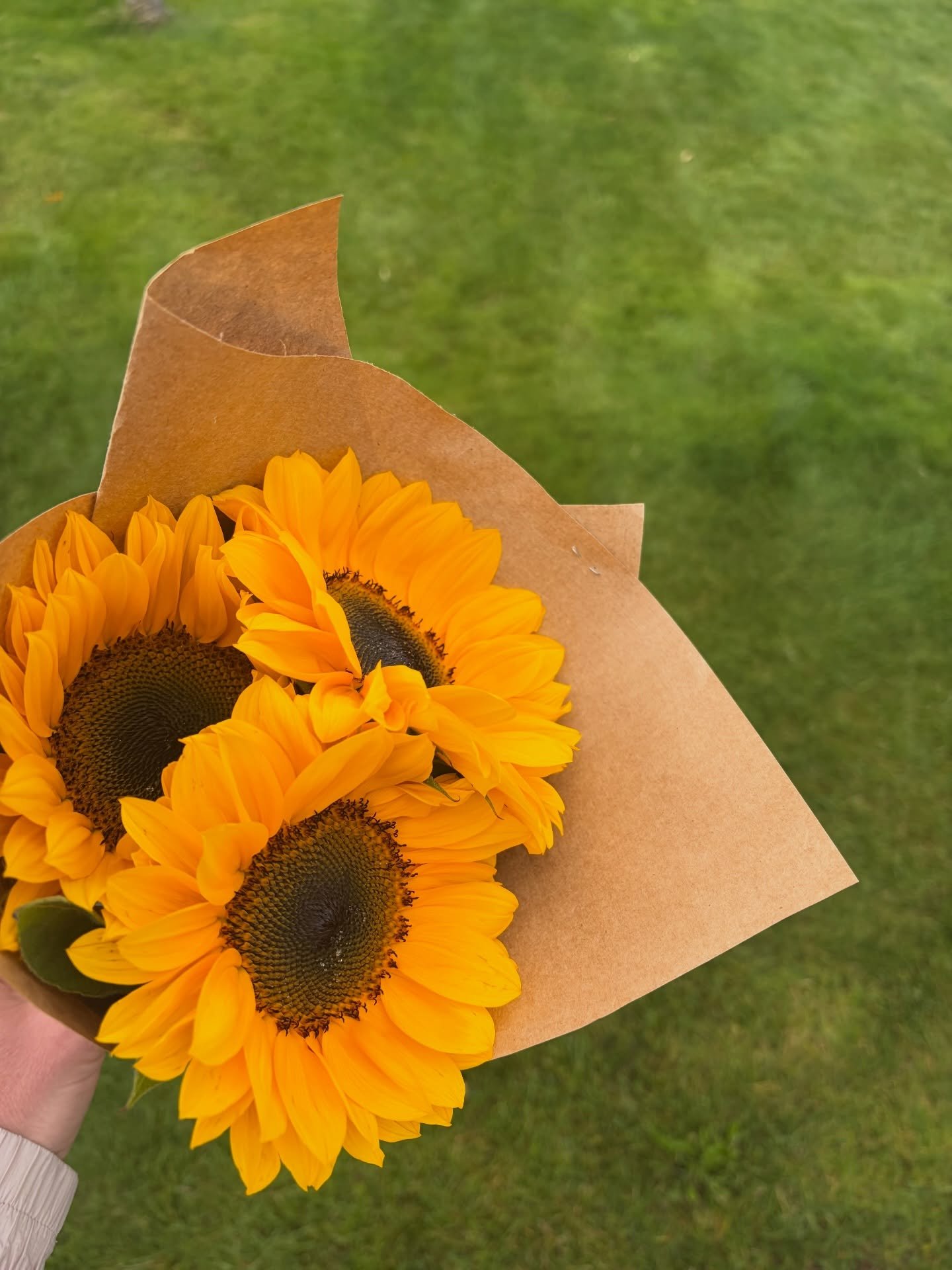 Clients who drop off sunflowers 🌻 before their coaching block has even officially begun 💛 Best job in the world I think&hellip;Because I get to cross paths with the biggest hearts - who now begin to learn how to love and nurture themselves back, wh