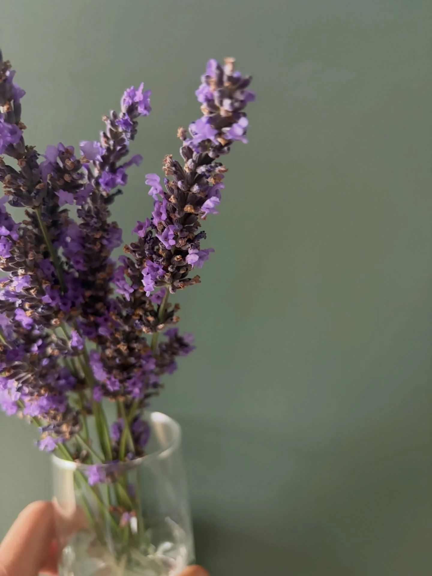 What if we broke the &lsquo;routine&rsquo; - the masculine hard lines of doing things because we &lsquo;must&rsquo; or &lsquo;should&rsquo; and just rolled with a bit more feminine flow?

This is where the beauty sits. In the stillness, the space, th