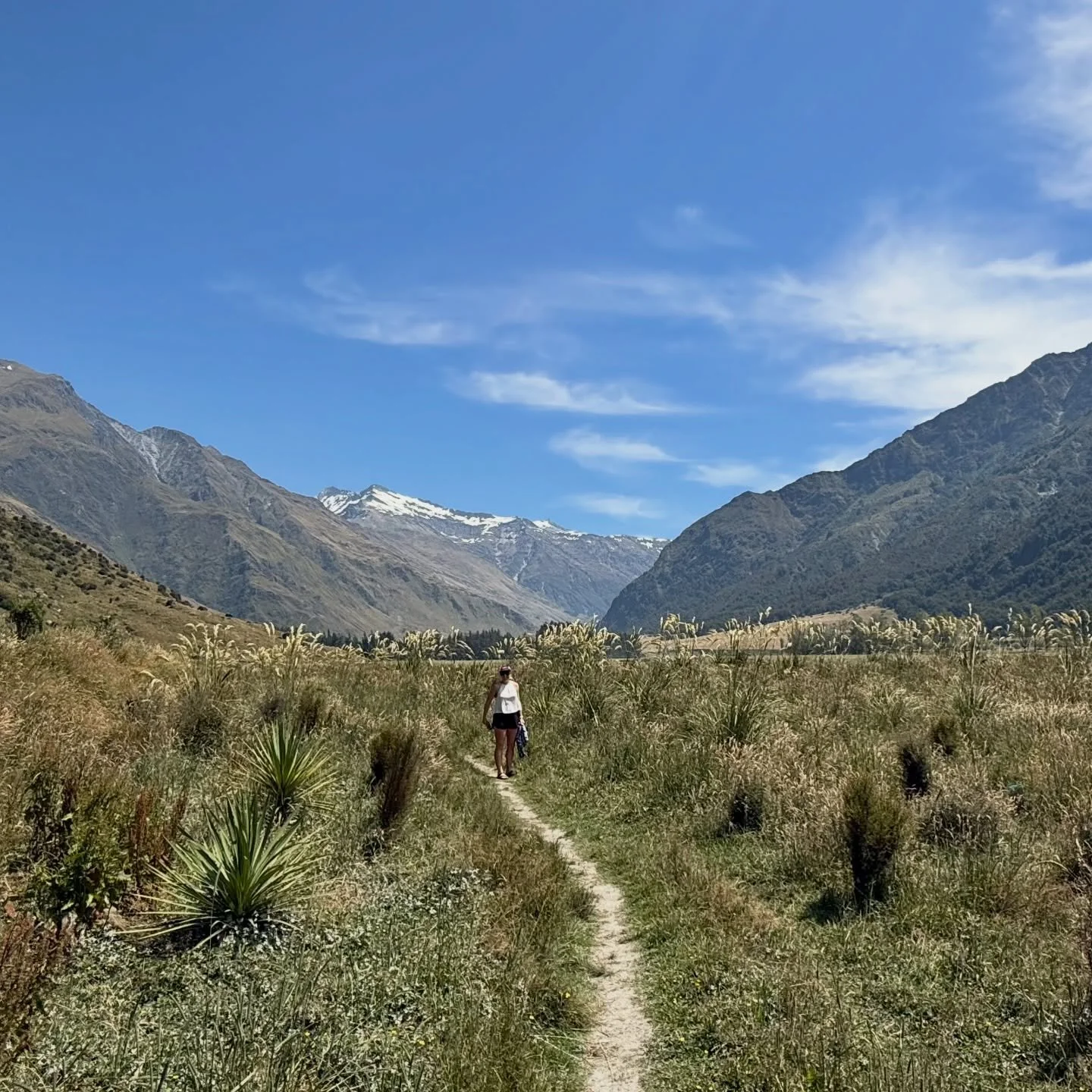 Some of the practices I used to lower stress + support my nervous system
(Alongside cancer treatment) Many of these were already fundamentals, some were new, now I adore them all!

&bull; 🧘🏼&zwj;♀️ 10 minutes meditation before getting out of bed
Se