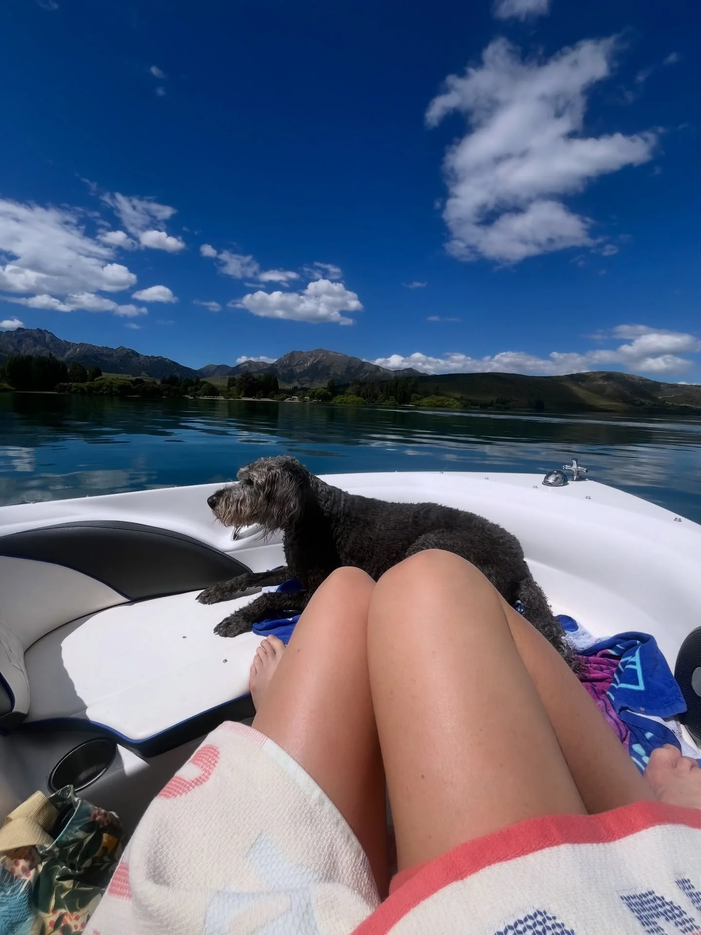 And finally the last one - what I focus on with skincare and home products after diagnosis.
(Again - this is just what I chose for me) and will continue to live with.

&bull; 🚫🌸 No fragrance. Anywhere.
I asked anyone entering my home not to wear pe